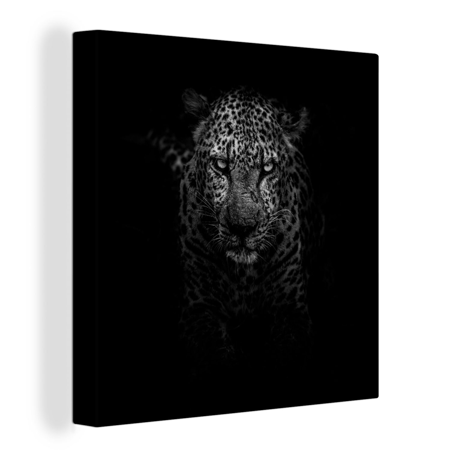 bunt - Wohnzimmer Bilder (1 Leinwandbild Leinwand Schwarz Weiß, Schlafzimmer für Leopard St), - OneMillionCanvasses®