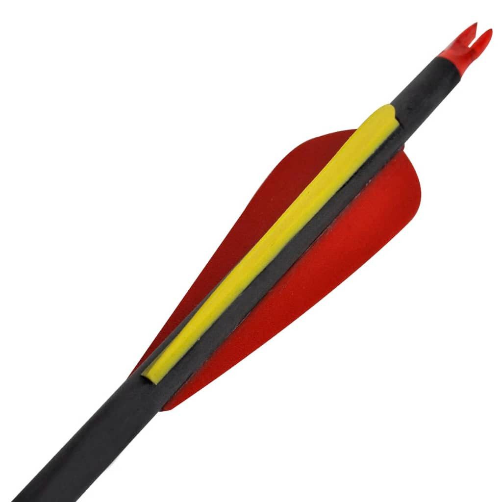 vidaXL Dartscheibe Recurvebogen-Pfeile 30" 0,76 cm Carbon 12 Stk.