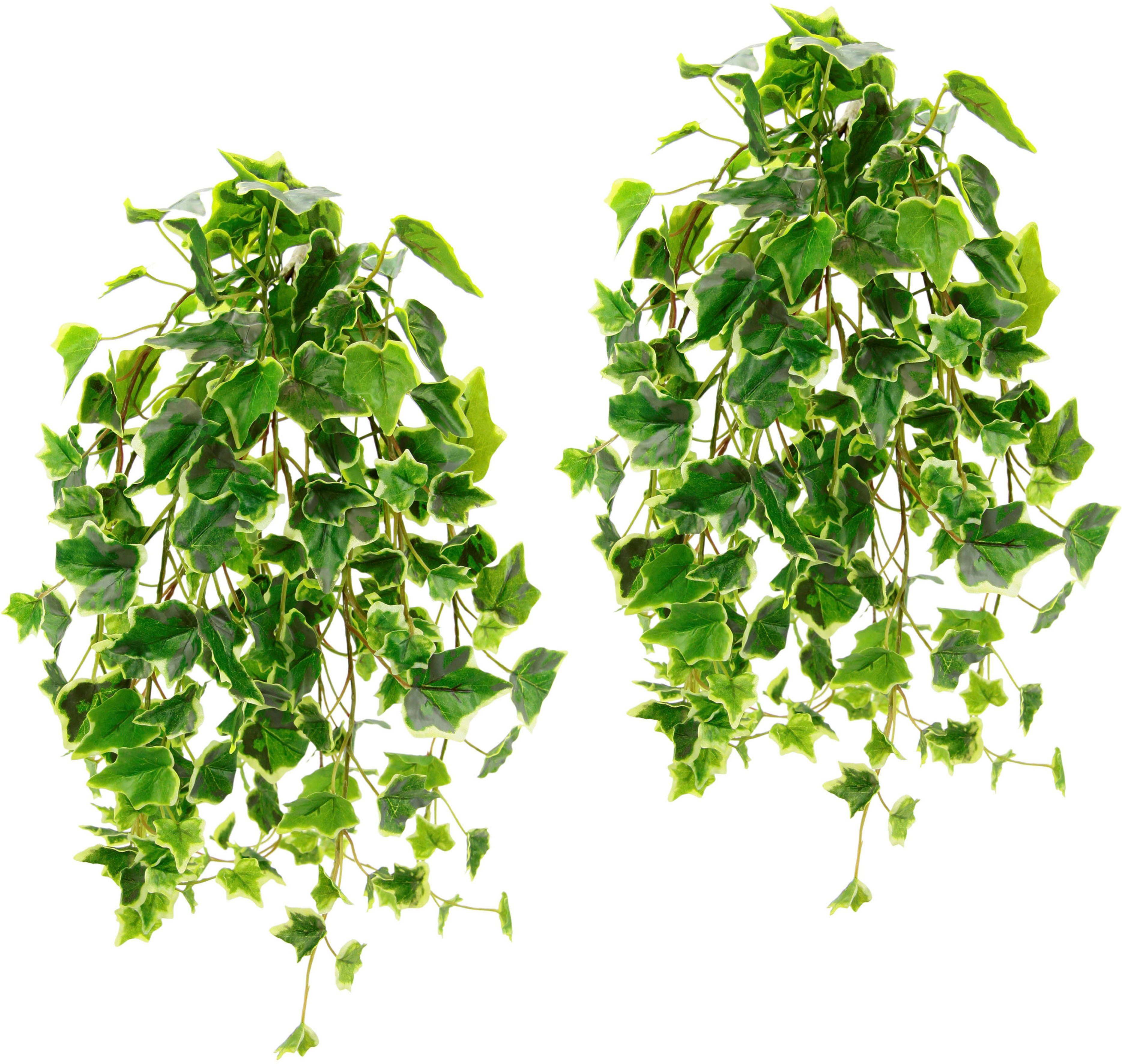 Kunstpflanze Efeuhänger, I.GE.A., Höhe 65 cm, 2er Set günstig online kaufen