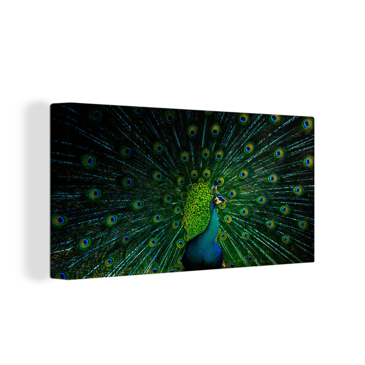 - 30x20 Leinwandbild cm OneMillionCanvasses® Tanzen Wandbild Leinwandbilder, (1 Wanddeko, St), Pfau - Aufhängefertig, Farbe,