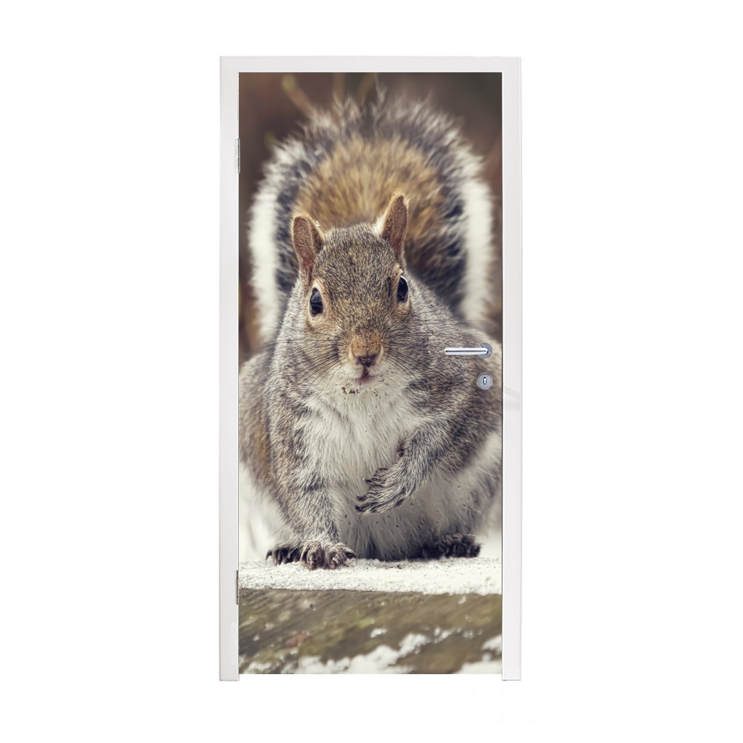 MuchoWow Türtapete Eichhörnchen - Wildtier - Winter, Matt, bedruckt, (1 St), Fototapete für Tür, Türaufkleber, 75x205 cm