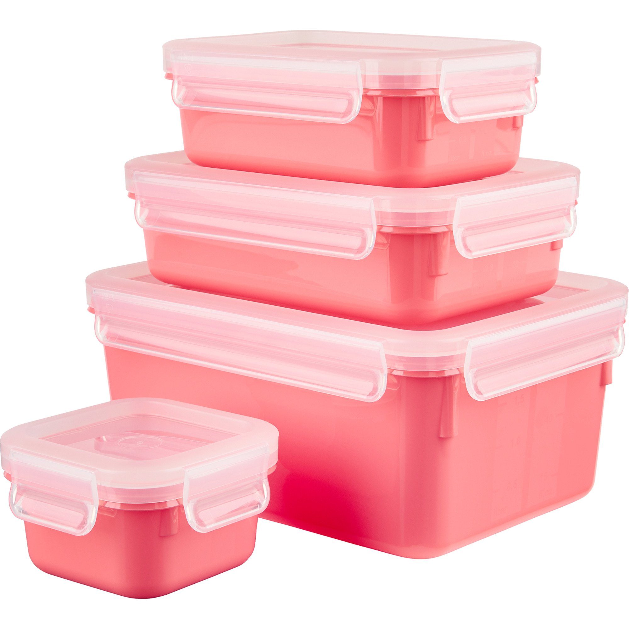 Emsa Lunchbox Emsa CLIP & CLOSE Color Frischhaltedose