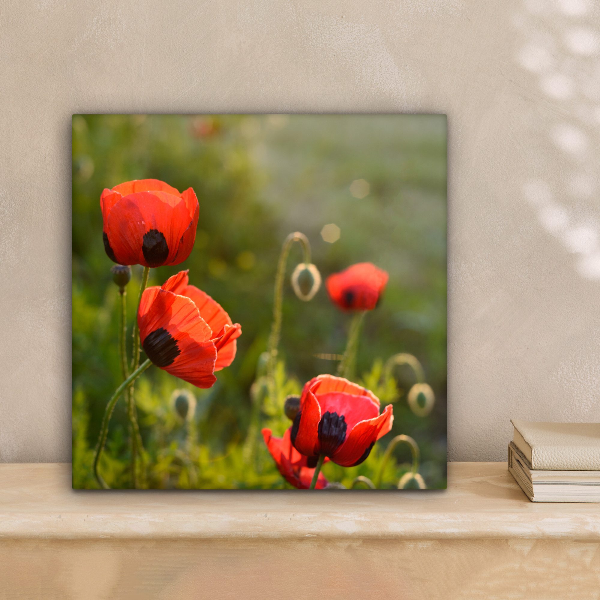 OneMillionCanvasses® Leinwandbild Mohnblumen bei Sonnenuntergang, Fotodruck günstig online kaufen