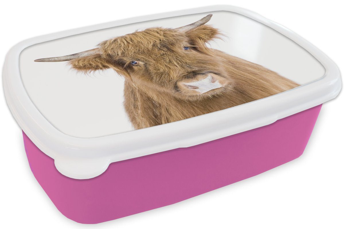 (2-tlg), - Kunststoff, für MuchoWow Snackbox, Tiere Erwachsene, Lunchbox Hochländer - Schottischer Brotbox Brotdose Mädchen, Kinder, Kunststoff - Natur, rosa Braun