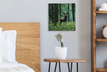 OneMillionCanvasses® Leinwandbild Hirsche - Wald - Bäume - Tiere - Natur, (1 St), Leinwand Bilder für Wohnzimmer Schlafzimmer