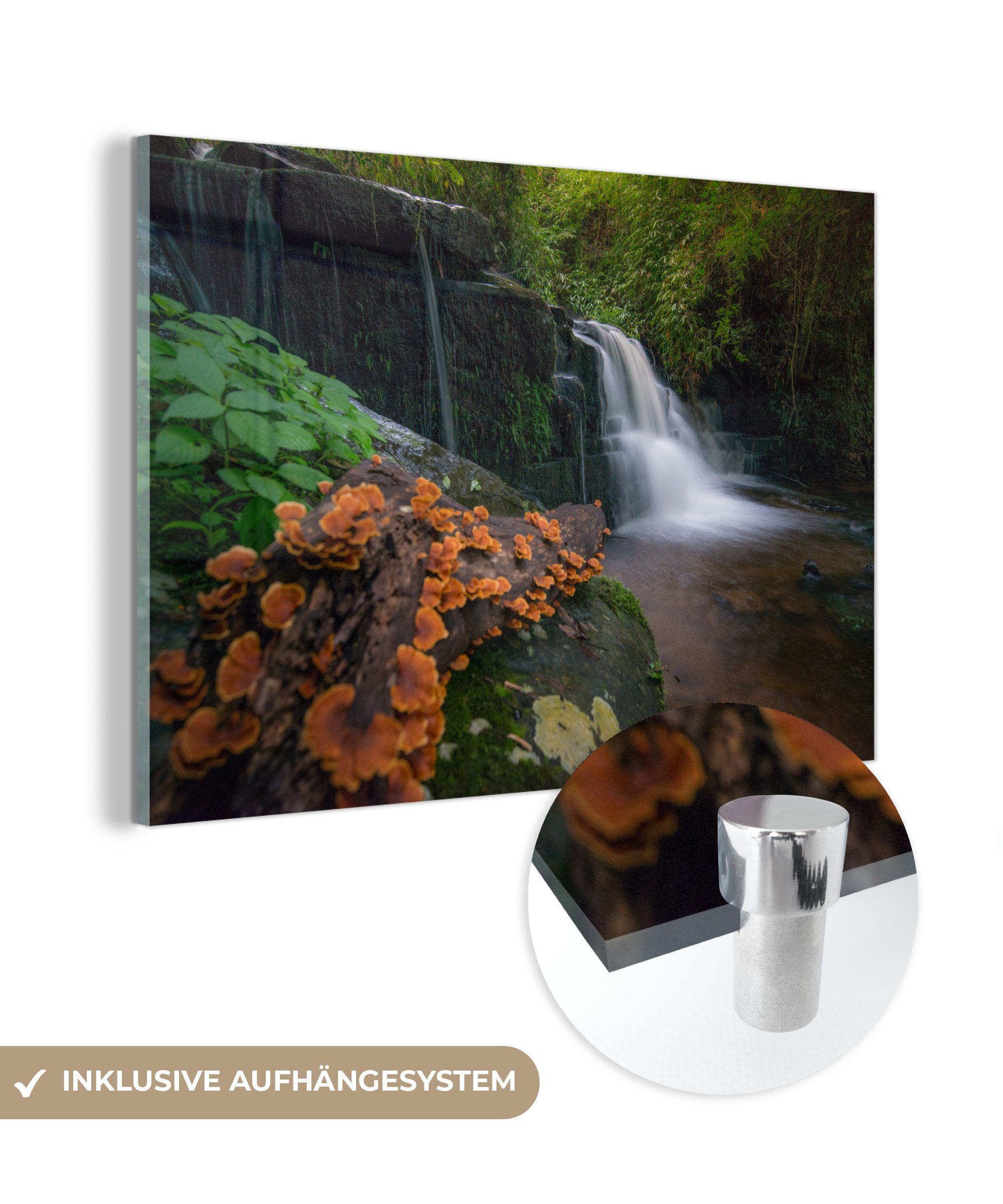 MuchoWow Acrylglasbild Mun Daeng-Wasserfall im tropischen Regenwald des Phu Hin Rong, (1 St), Acrylglasbilder Wohnzimmer & Schlafzimmer