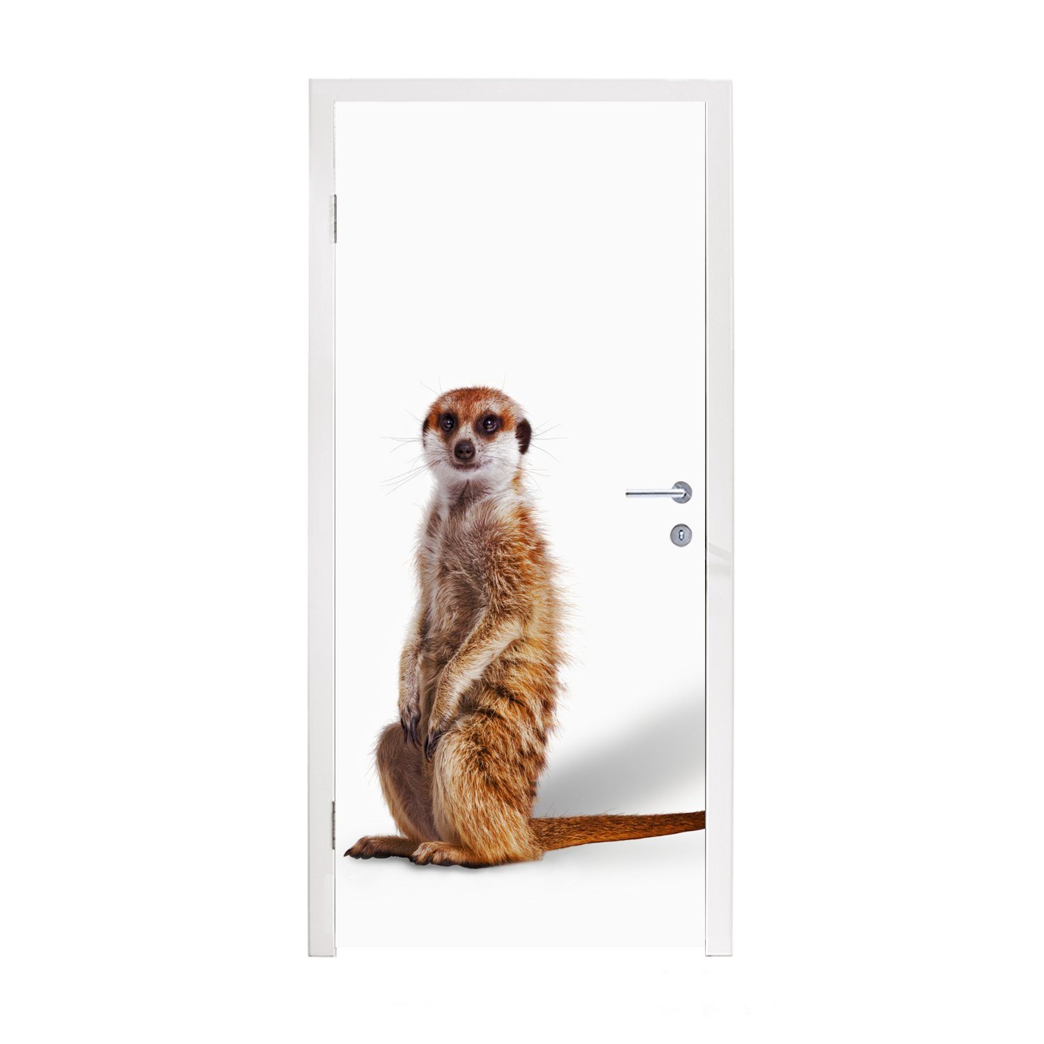 MuchoWow Türtapete Erdmännchen - (1 Tiere Fototapete Tür, 75x205 - St), bedruckt, Türaufkleber, cm Matt, für Fell