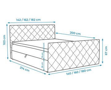 Furnix Boxspringbett MALISSA 120x200 Doppelbett mit Topper & Bettkasten Auswahl, hochwertige Materialien, made in Europe