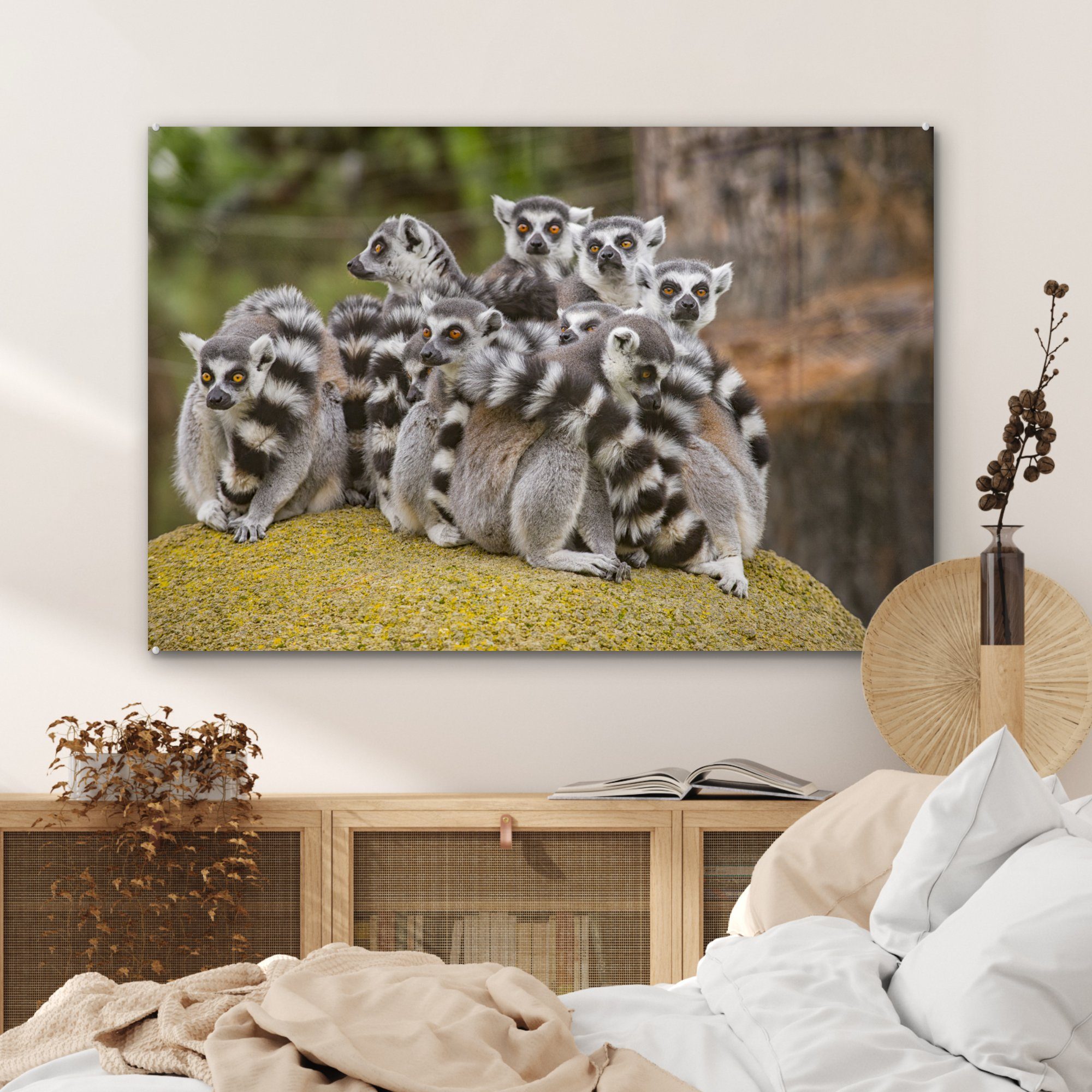 MuchoWow Acrylglasbild Acht Lemuren-Affen auf (1 Acrylglasbilder & Wohnzimmer einem St), Felsen, Schlafzimmer