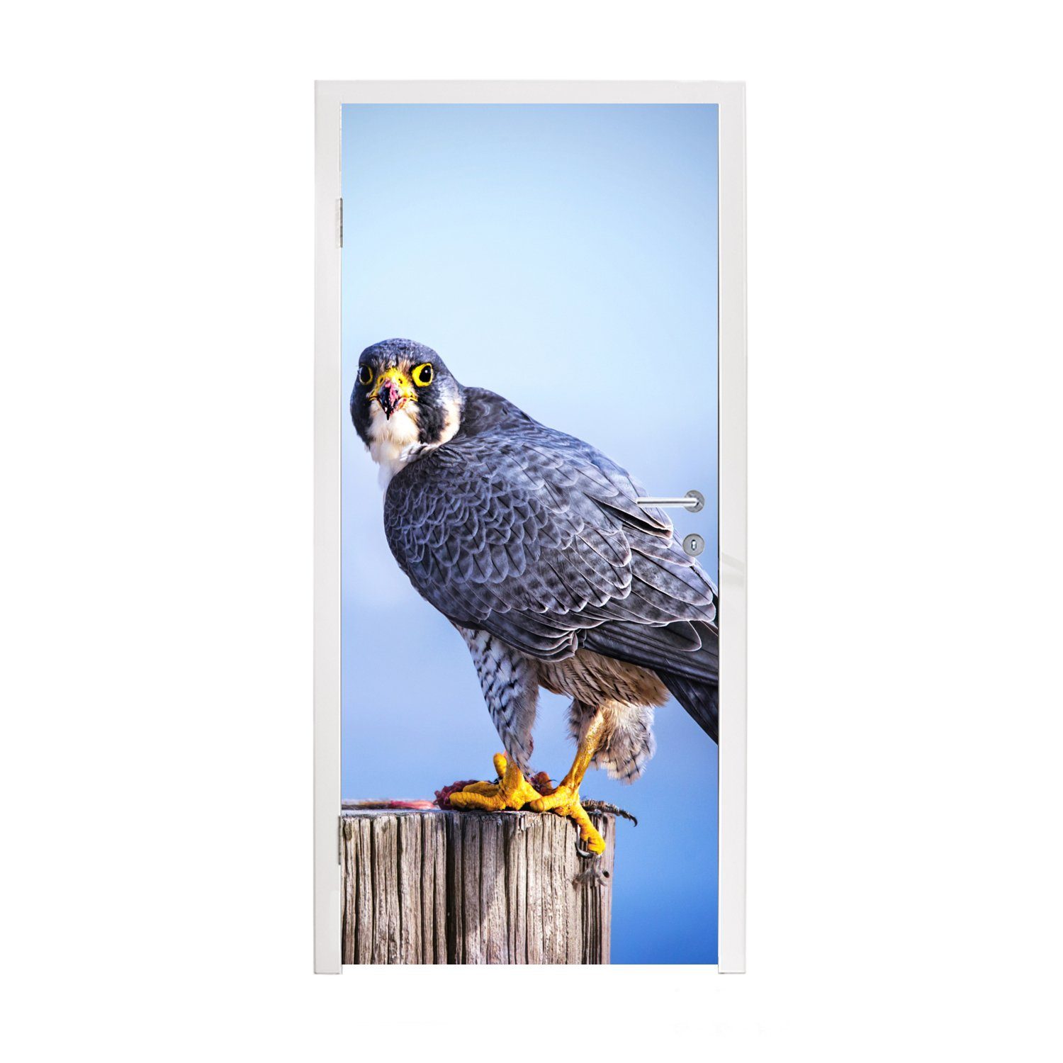 MuchoWow Türtapete Nahaufnahme eines Raubvogels auf einer dicken Holzstange, Matt, bedruckt, (1 St), Fototapete für Tür, Türaufkleber, 75x205 cm