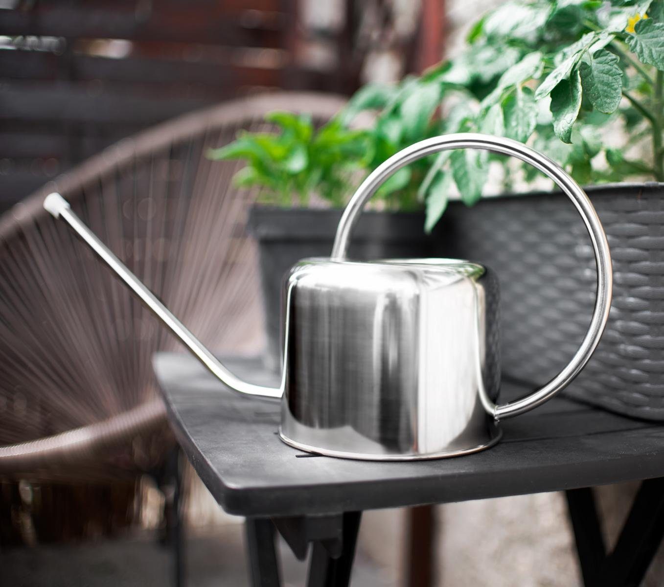 Sendez Gießkanne aus Edelstahl 1 L Poliert Gießer Blumengießkanne Bewässerung Blumen (1-tlg)