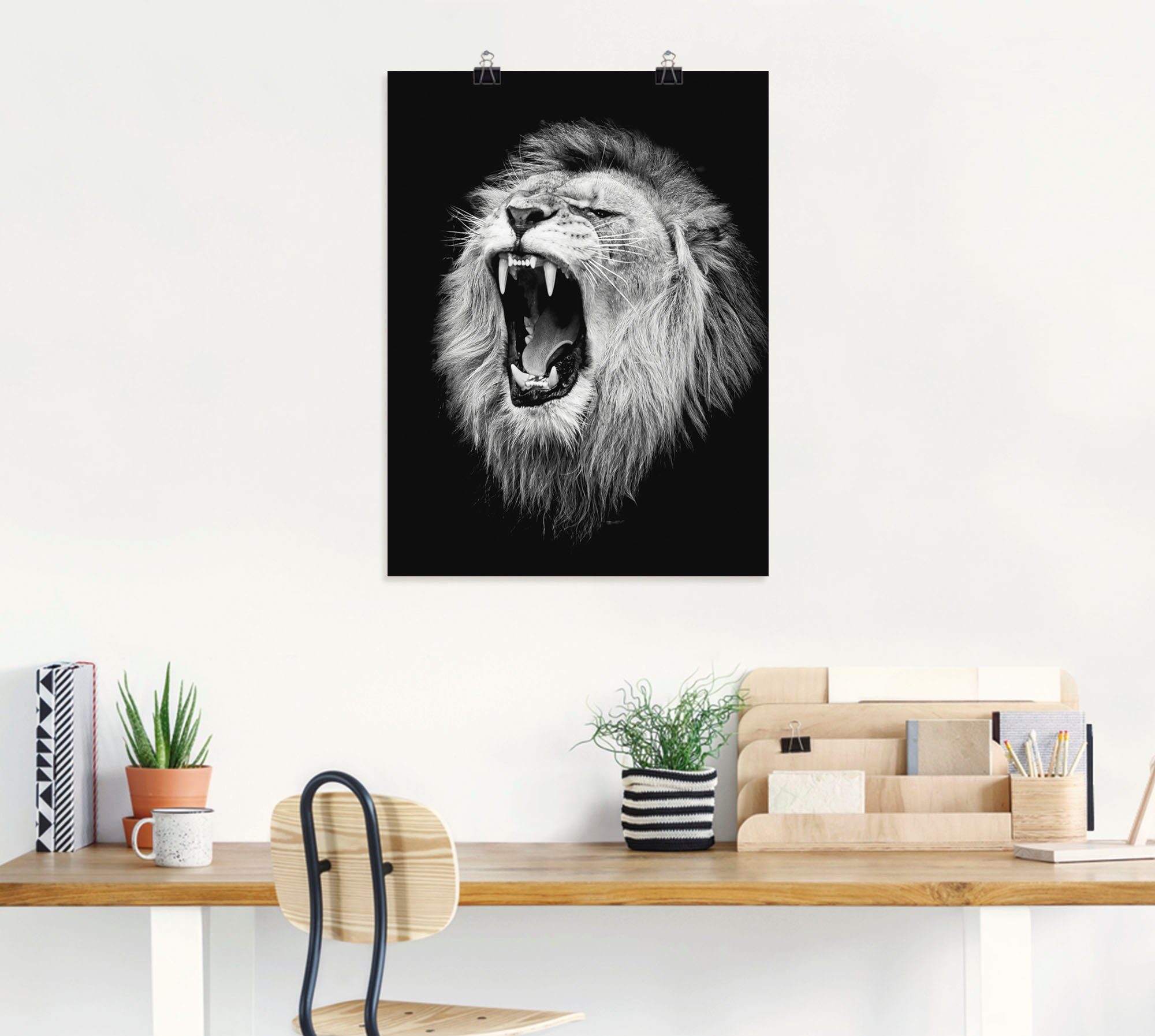 Artland versch. St), (1 Poster Der in Wildtiere Löwe, Wandaufkleber oder Wandbild als Alubild, Leinwandbild, Größen