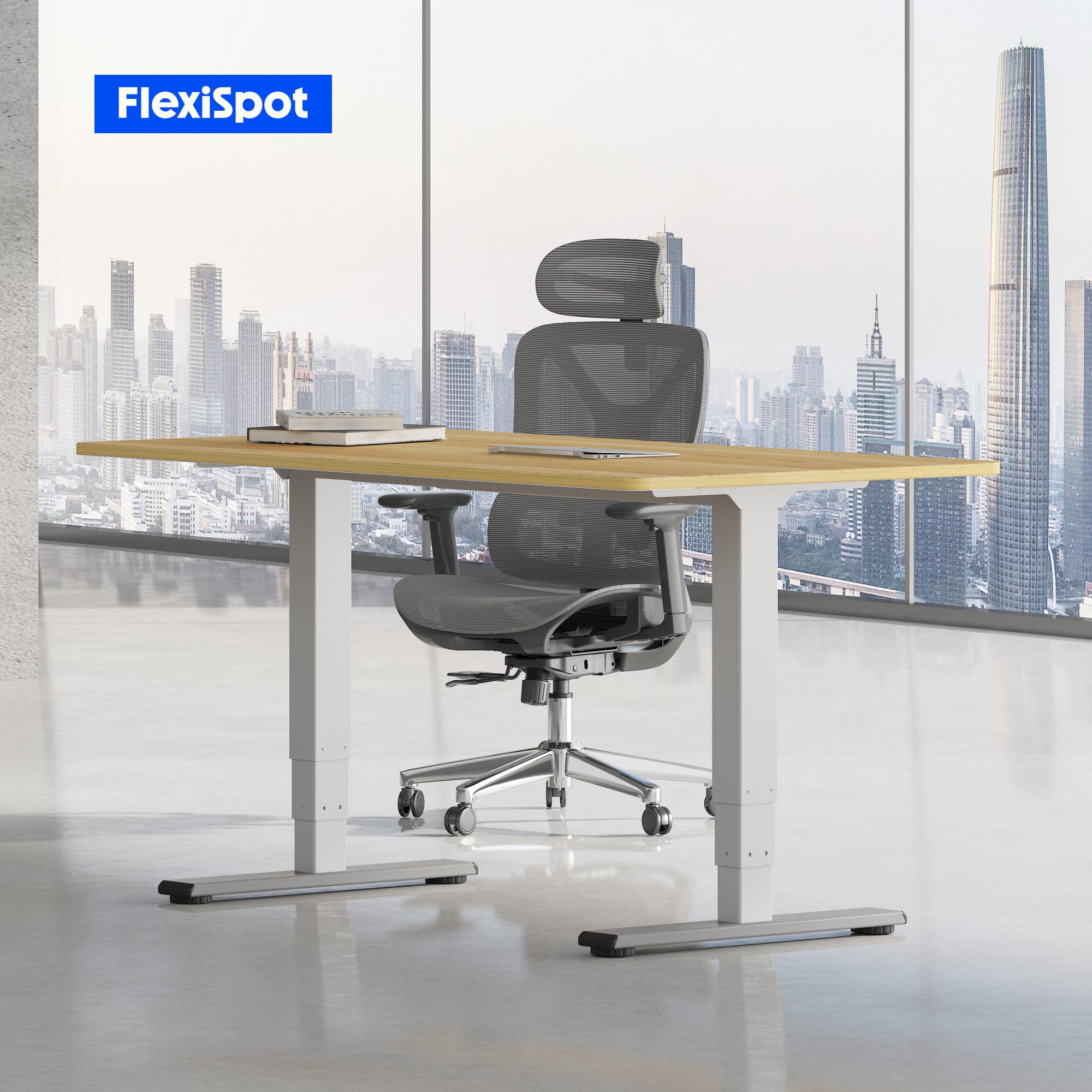 FLEXISPOT Schreibtisch Elektrisch Höhenverstellbarer Schreibtisch EC5 LITE günstig online kaufen