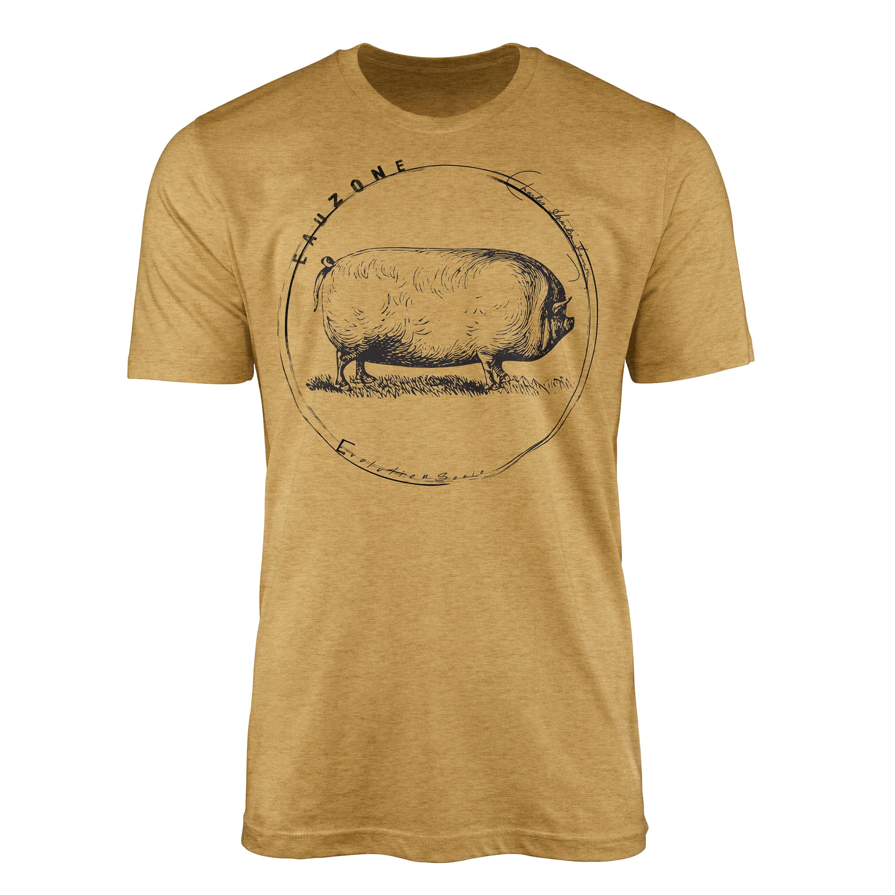 Sinus Art T-Shirt Evolution Herren T-Shirt Schwein Antique Gold
