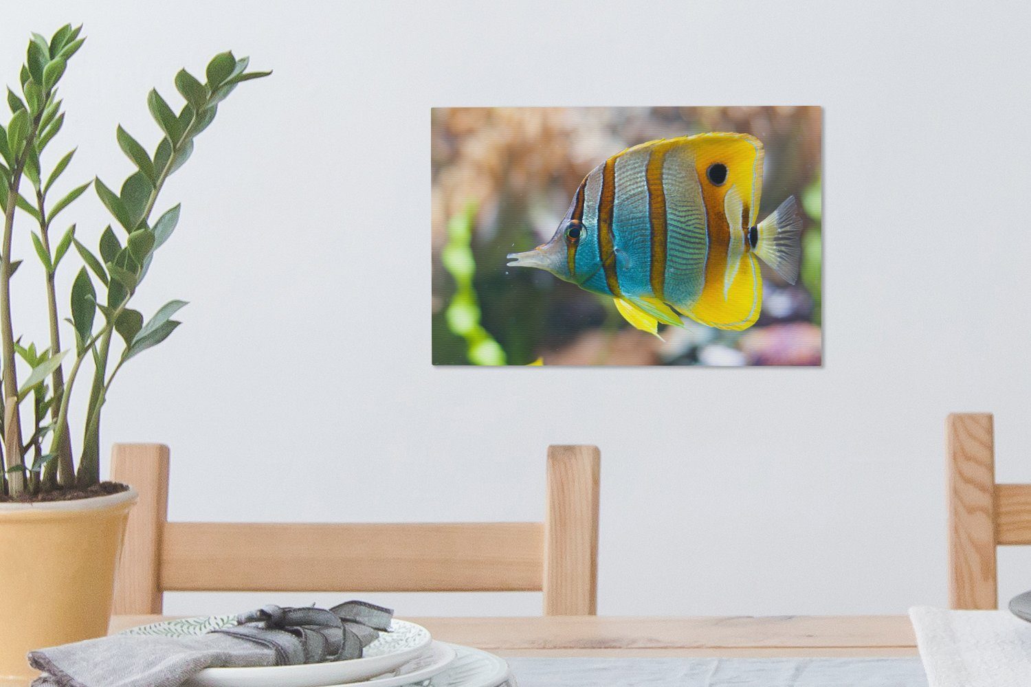 Aufhängefertig, Wanddeko, - St), Wasser Fisch Leinwandbilder, Wandbild - 30x20 OneMillionCanvasses® Makro, cm Leinwandbild (1