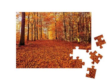 puzzleYOU Puzzle Eine Straße aus Herbstlaub im Wald, 48 Puzzleteile, puzzleYOU-Kollektionen Herbst, Wälder, Wald & Bäume