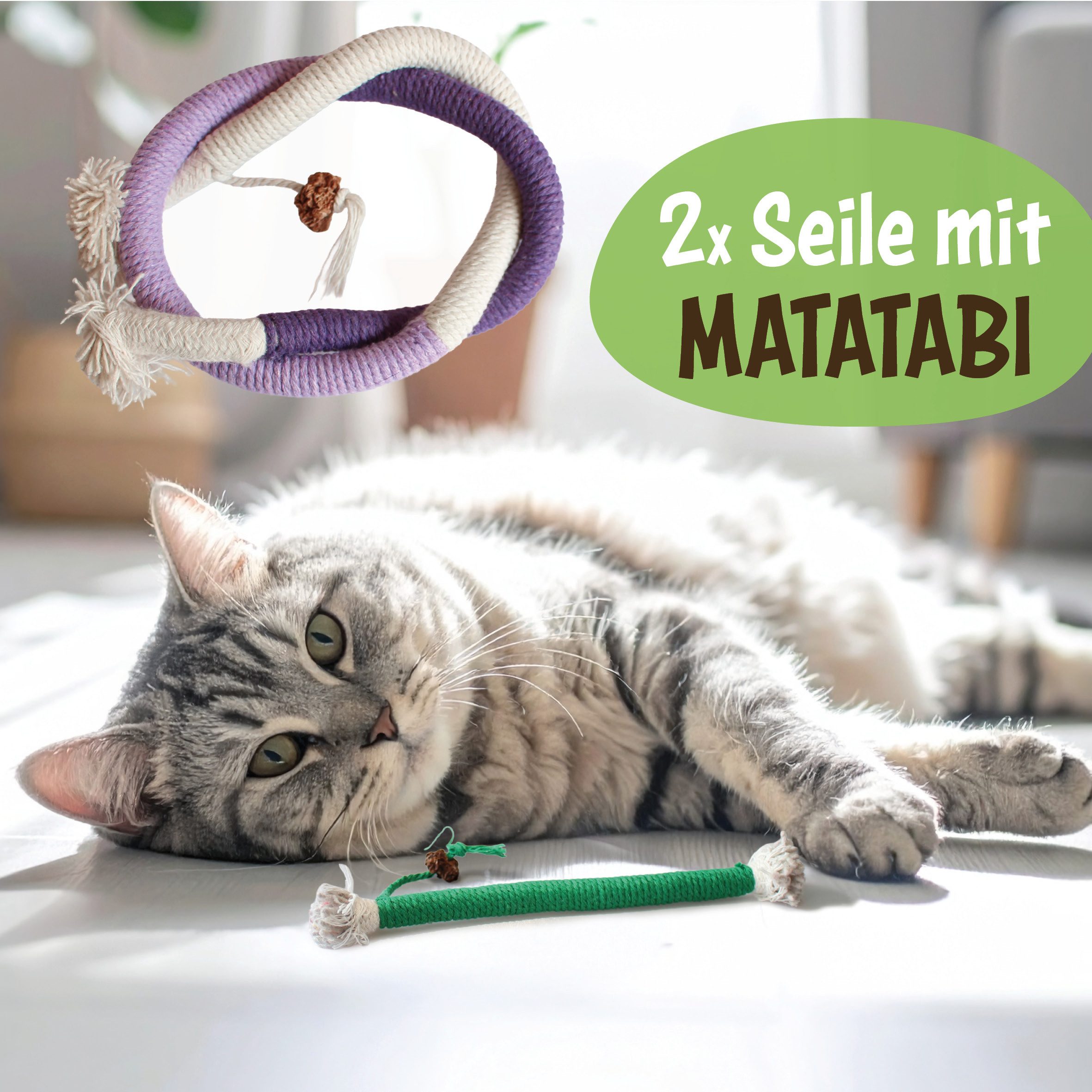 KaraLuna Tier-Beschäftigungsspielzeug Katzenspielzeug Set 6 Teile Katzenminze Catnip Spielzeug Katze