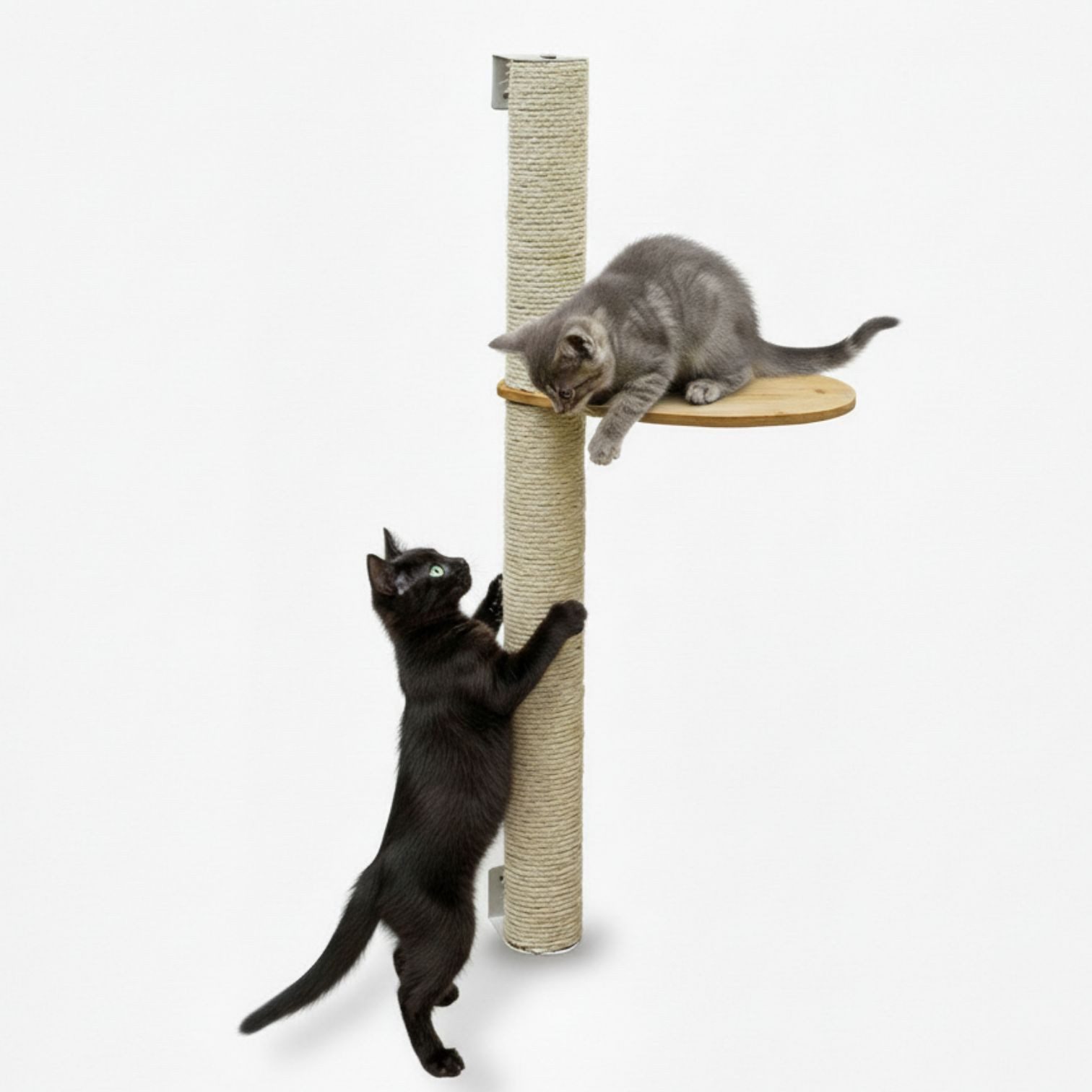 eyepower Kratzbaum zur Wandmontage - 96 cm Wandkratzbaum für Katzen mit 1 Bambus Plateau, Sistammstamm Wand - Katzenkratzbaum platzsparend - Kletterwand Katze