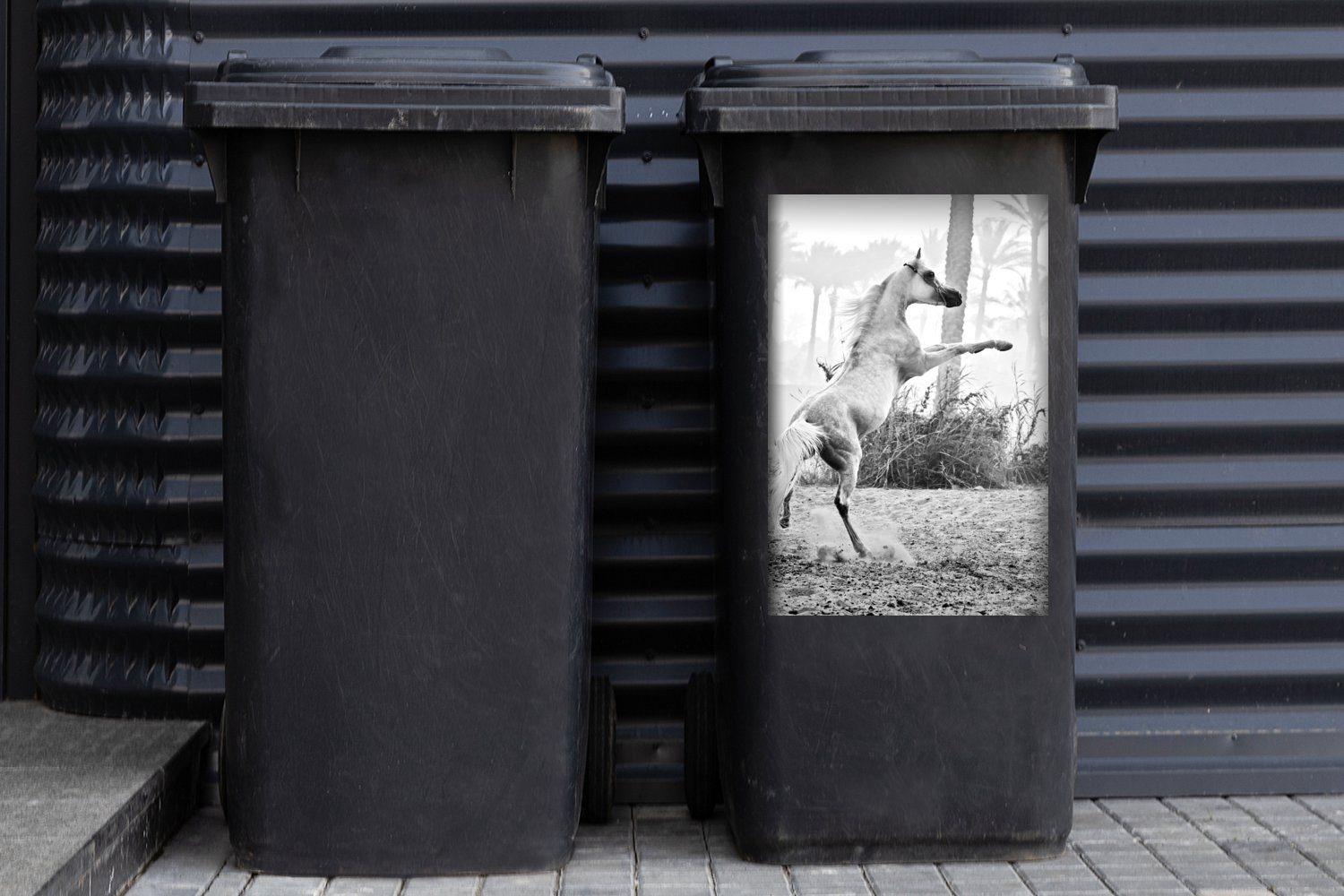 Sticker, und Wandsticker Pferd schwarz - Tänzelndes Mülleimer-aufkleber, St), Abfalbehälter (1 Mülltonne, MuchoWow weiß Container,