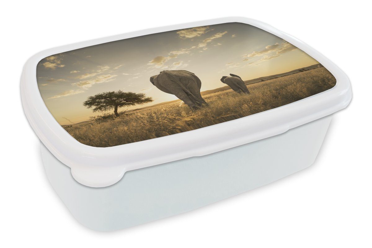 MuchoWow Lunchbox Elefant - Safari - Sonnenuntergang, Kunststoff, (2-tlg), Brotbox für Kinder und Erwachsene, Brotdose, für Jungs und Mädchen weiß