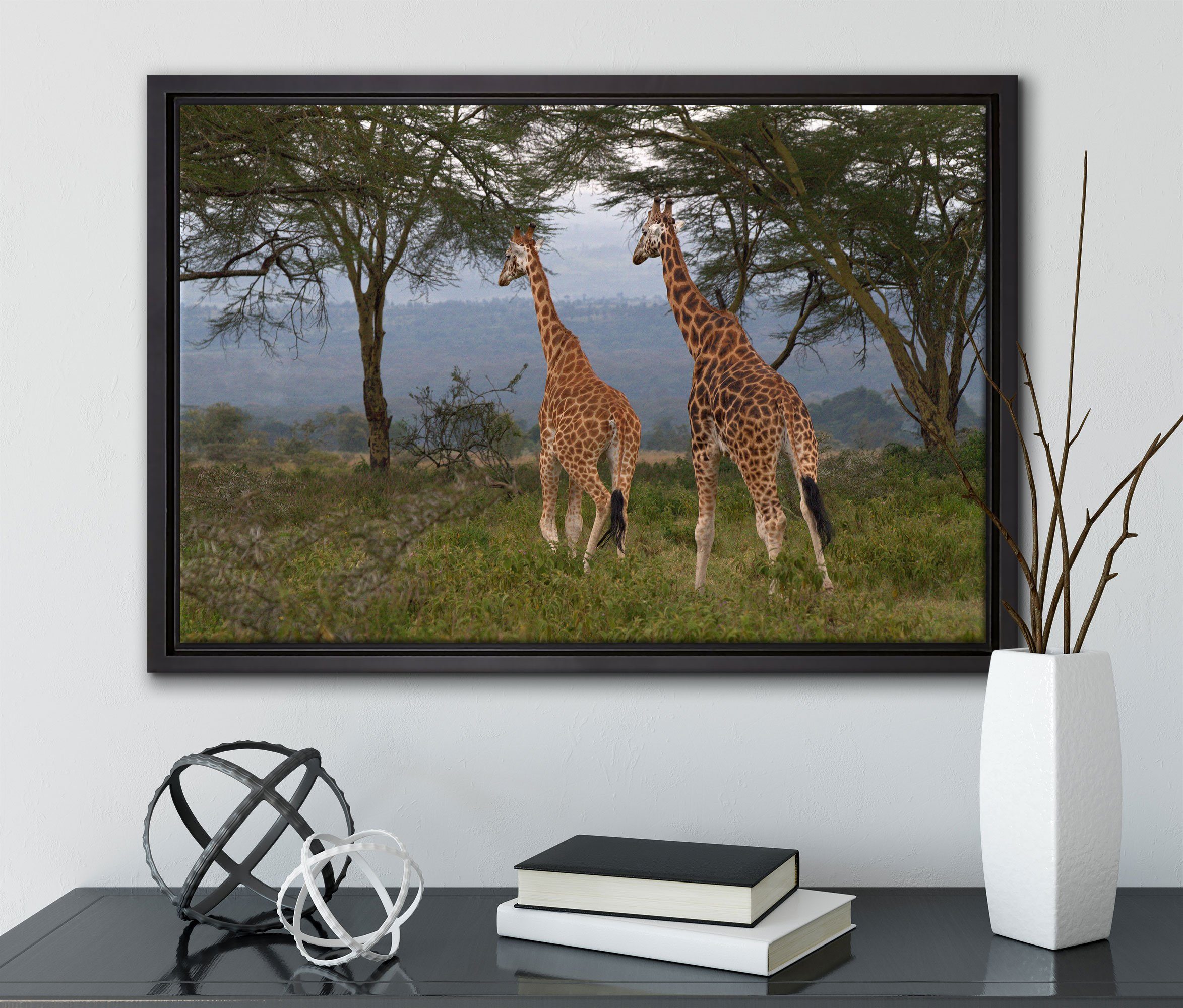 Leinwandbild Savanne, anmutige Pixxprint Wanddekoration gefasst, inkl. in in der fertig Giraffen (1 Zackenaufhänger einem Leinwandbild bespannt, St), Schattenfugen-Bilderrahmen