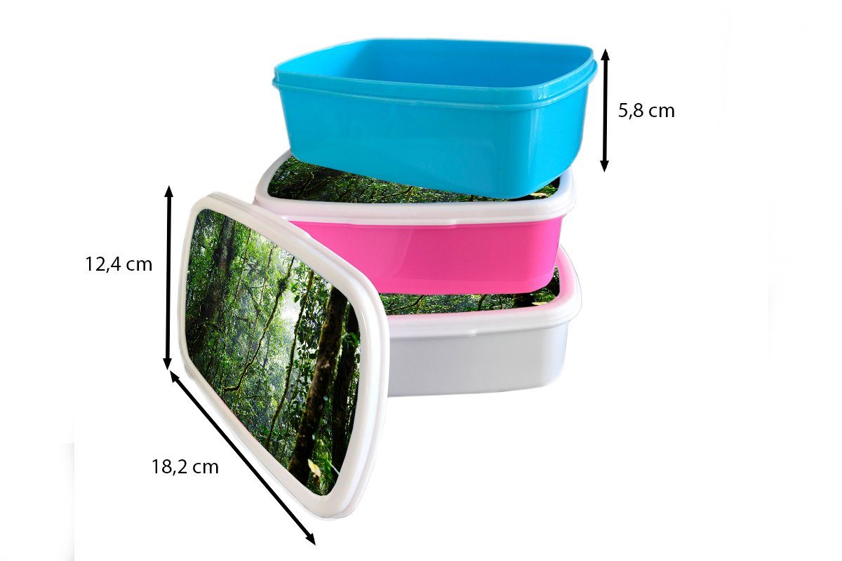 MuchoWow Lunchbox Tropischer Regenwald, Kunststoff, für Mädchen Brotdose, für weiß und Erwachsene, Brotbox (2-tlg), Jungs Kinder und