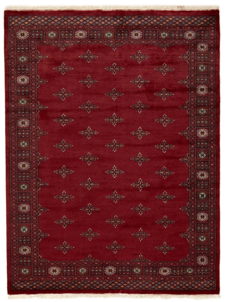 Orientteppich Pakistan Buchara 3ply 172x227 Handgeknüpfter Orientteppich, Nain Trading, rechteckig, Höhe: 8 mm