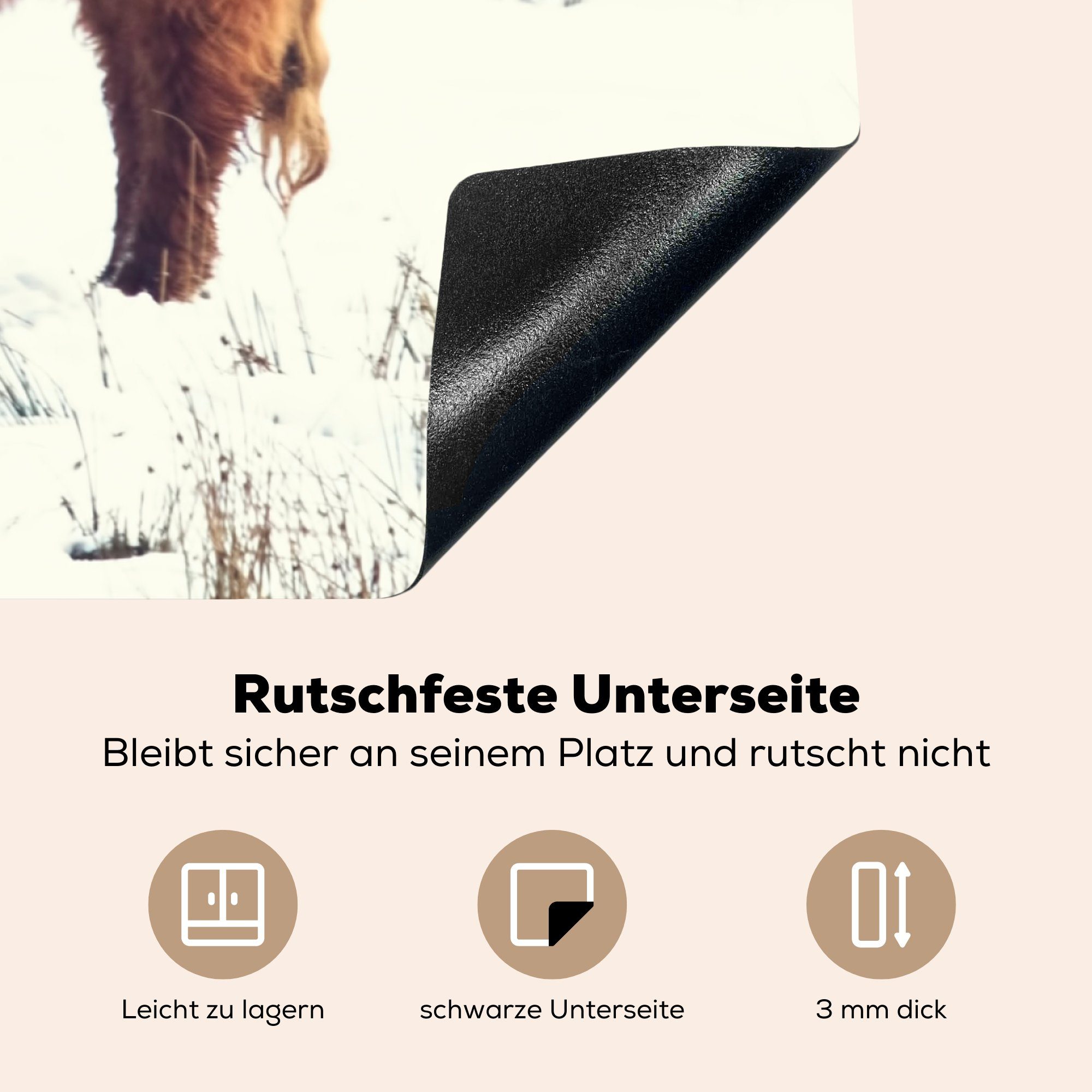 MuchoWow Herdblende-/Abdeckplatte Schottische Highlander - tlg), küche Winter, Vinyl, Ceranfeldabdeckung, (1 78x78 - cm, Arbeitsplatte Tiere für