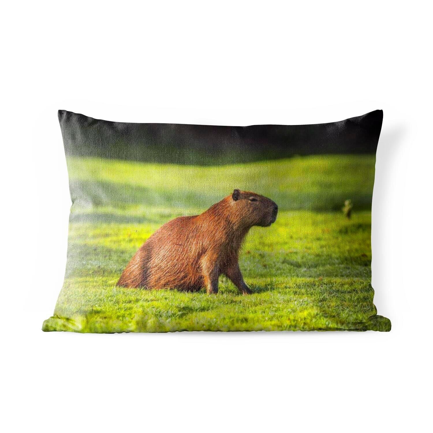 MuchoWow Dekokissen Goldene Sonnenstrahlen über dem Capybara, Outdoor-Dekorationskissen, Polyester, Dekokissenbezug, Kissenhülle