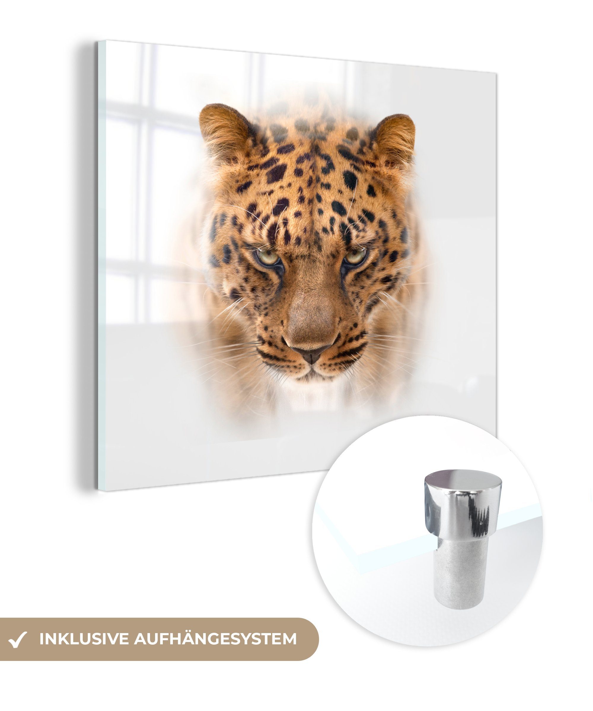MuchoWow Acrylglasbild Panther - Porträt - Weiß, (1 St), Glasbilder - Bilder auf Glas Wandbild - Foto auf Glas - Wanddekoration