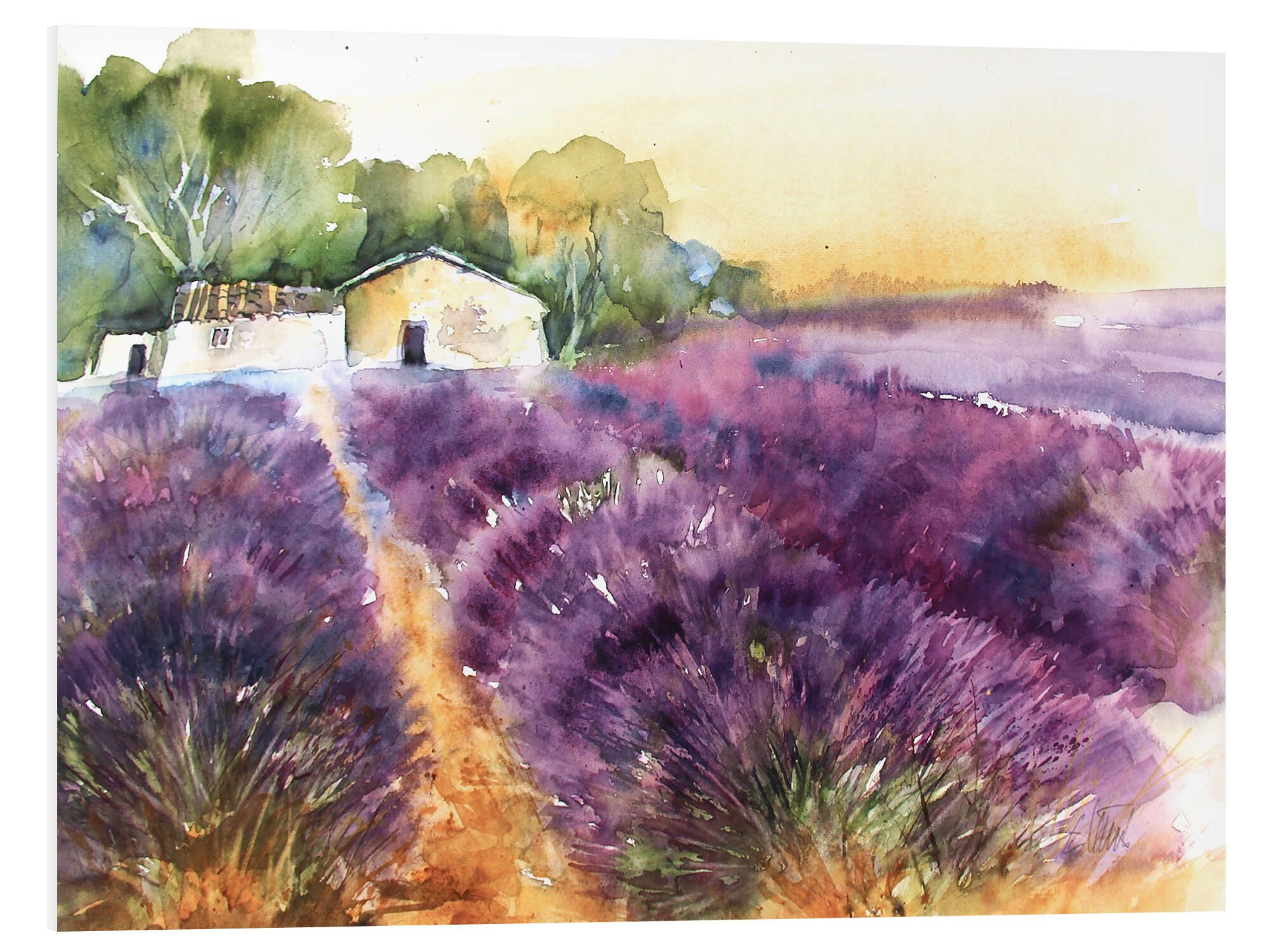 Posterlounge Forex-Bild Eckard Funck, Lavendelfeld in der Provence, Wohnzimmer Mediterran Malerei