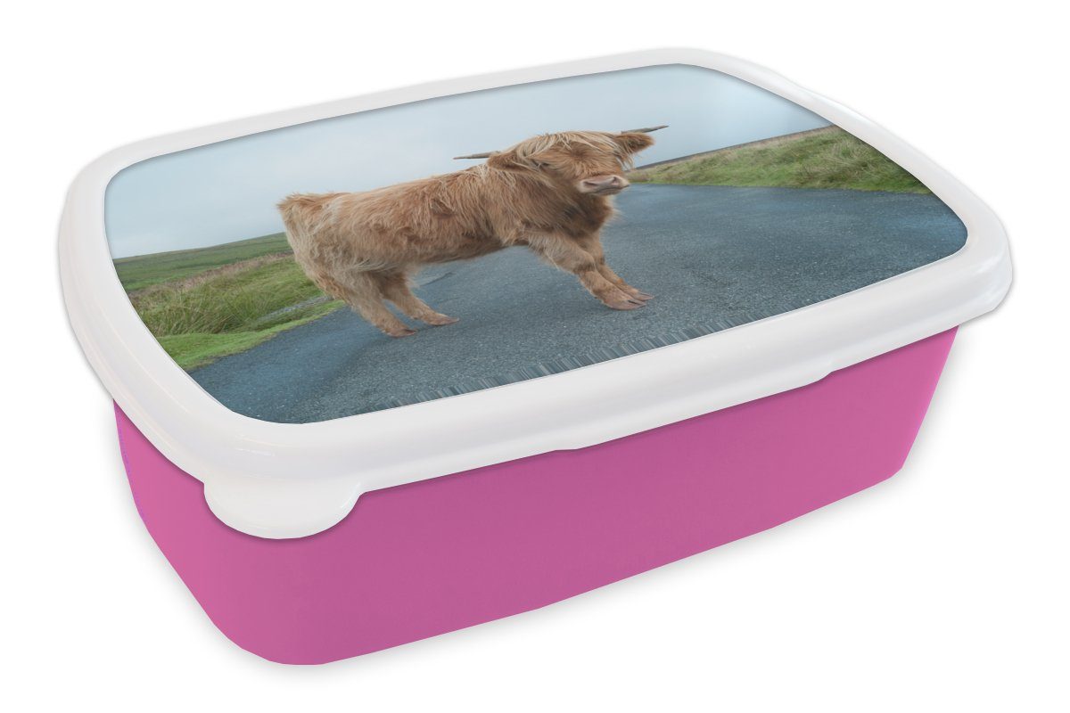 MuchoWow Lunchbox Scottish Highlander - Straße - Gras, Kunststoff, (2-tlg), Brotbox für Erwachsene, Brotdose Kinder, Snackbox, Mädchen, Kunststoff rosa