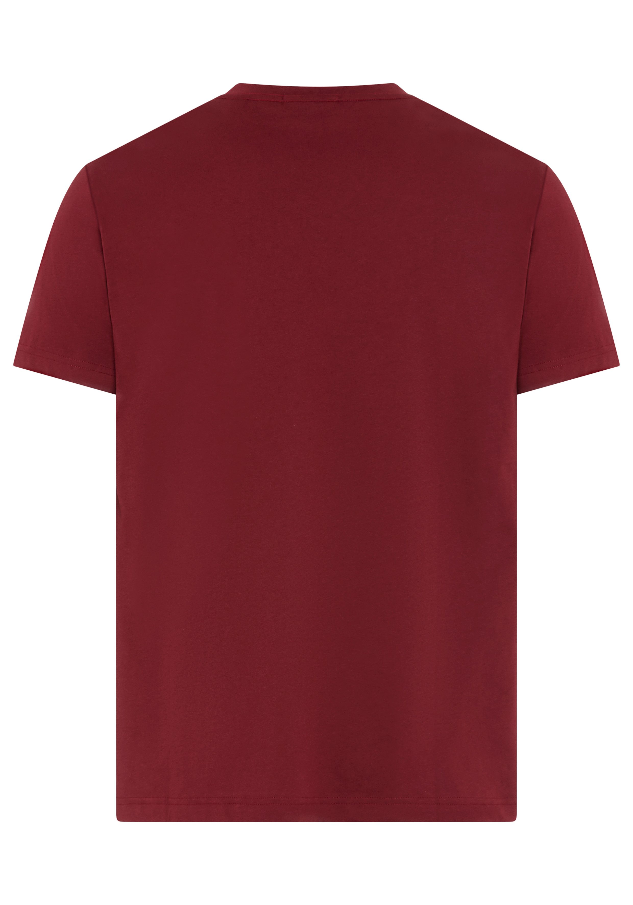 Gant T-Shirt SLIM SHIELD V-NECK T-SHIRT mit einer kleinen Logostickerei auf günstig online kaufen