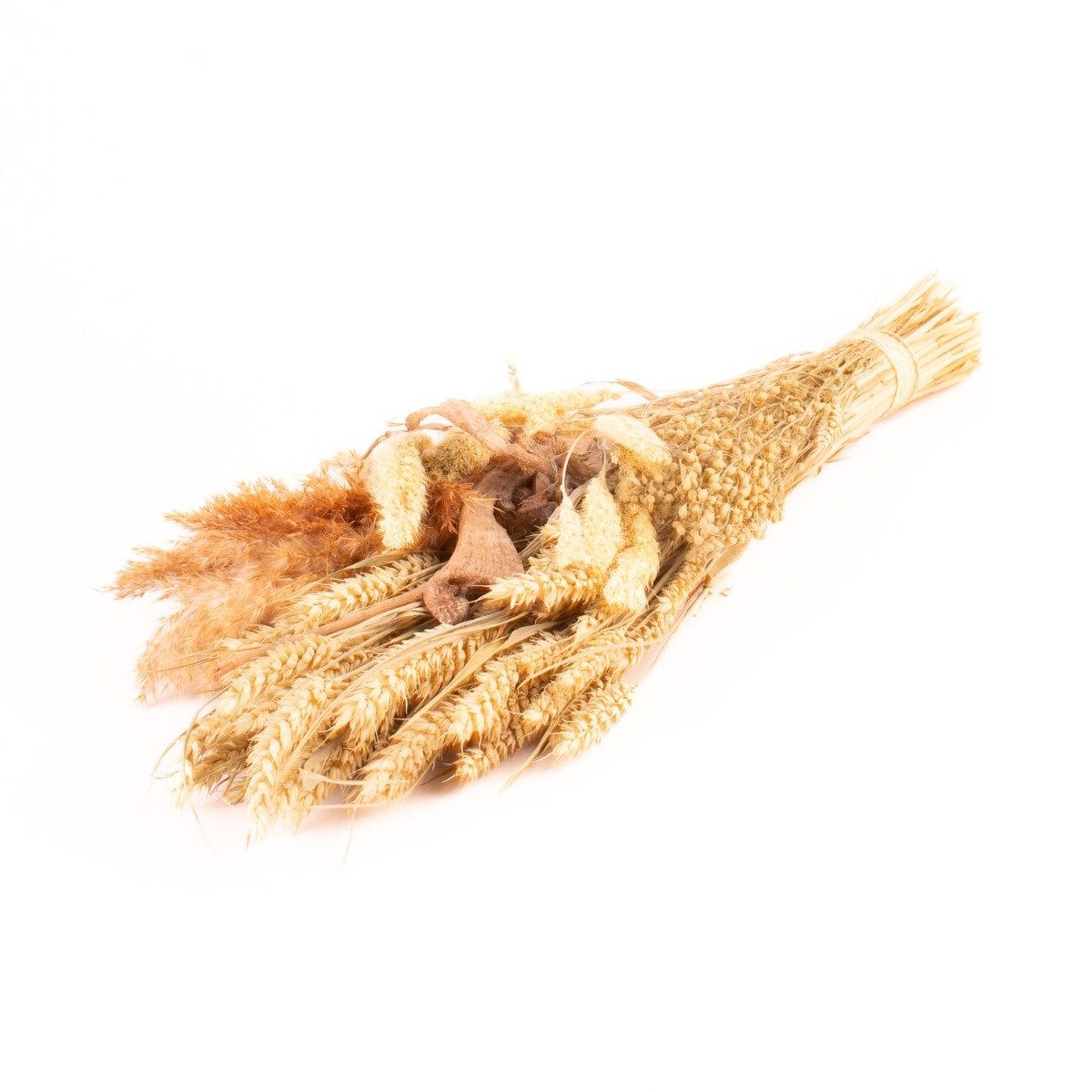 Trockenblume Strauß getrocknet Isaiah, Natur, 65cm, Ø18cm, INNA-Glas, Höhe 65.0 cm