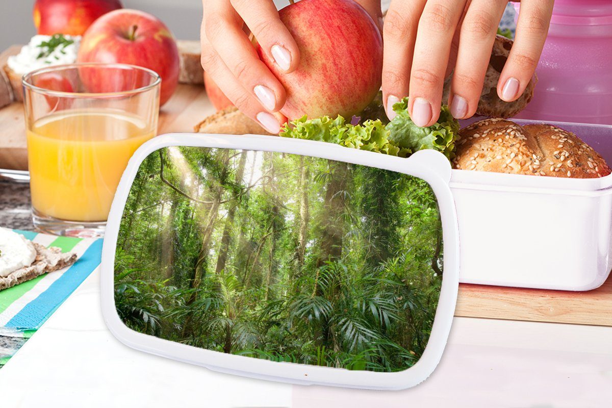 weiß Lunchbox Kunststoff, Jungs und für (2-tlg), Mädchen Erwachsene, für Licht Brotdose, im und Wald, MuchoWow Brotbox Kinder