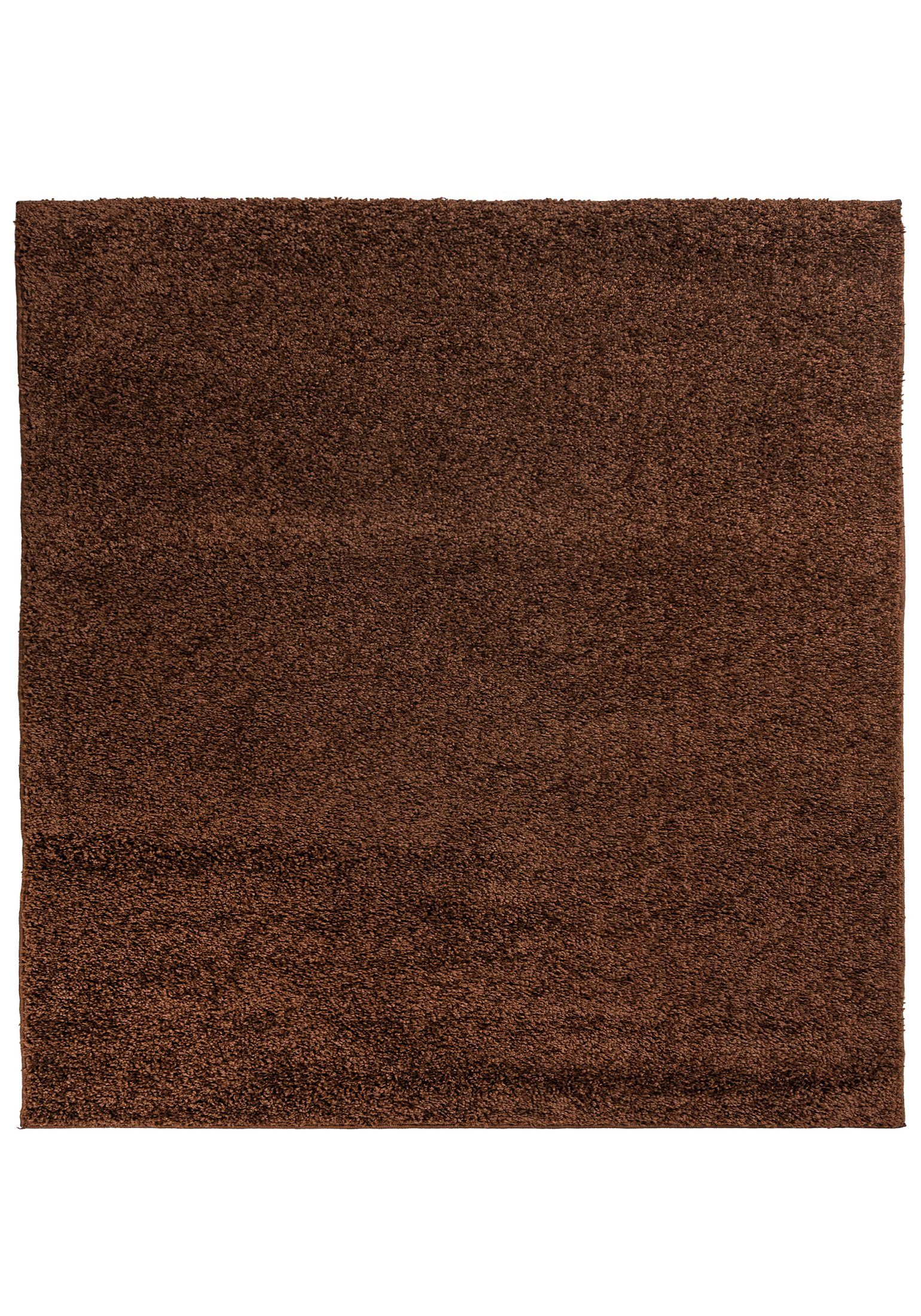 Mazovia Hochflor-Teppich Hochflor Shaggy Teppich für günstig online kaufen