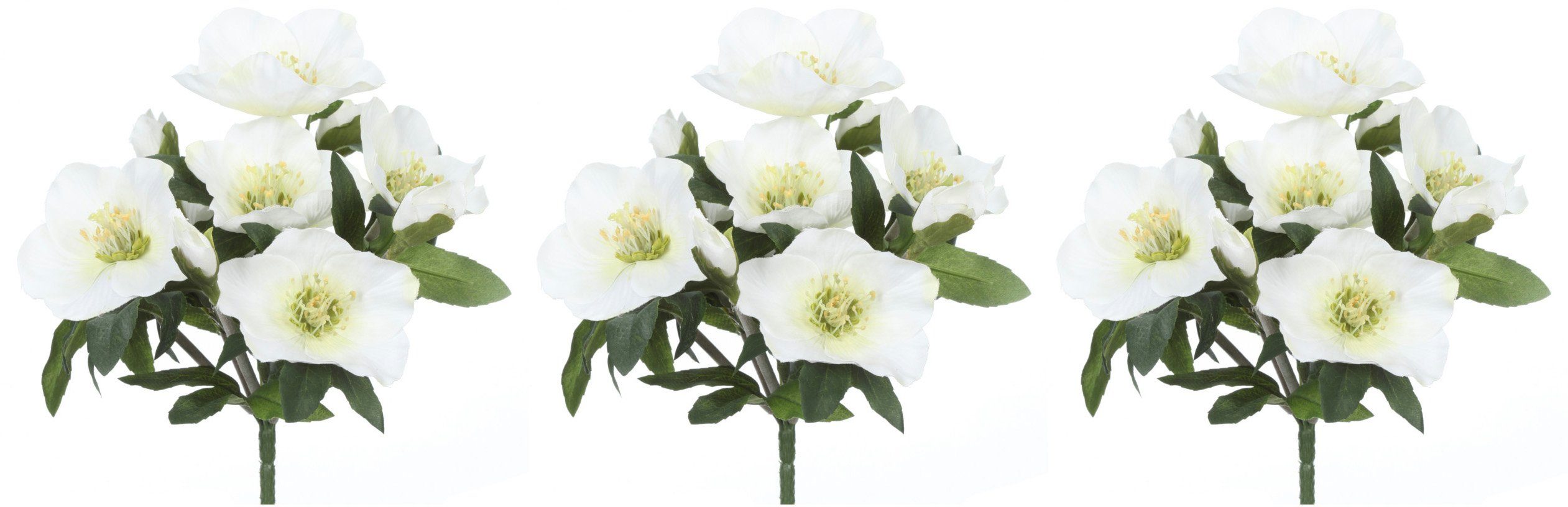 Winterliche Kunstpflanze Weihnachtsdeko Christrose, Creativ green, Höhe 25 cm, 3 Büsche mit je 7 Blüten und Knospen