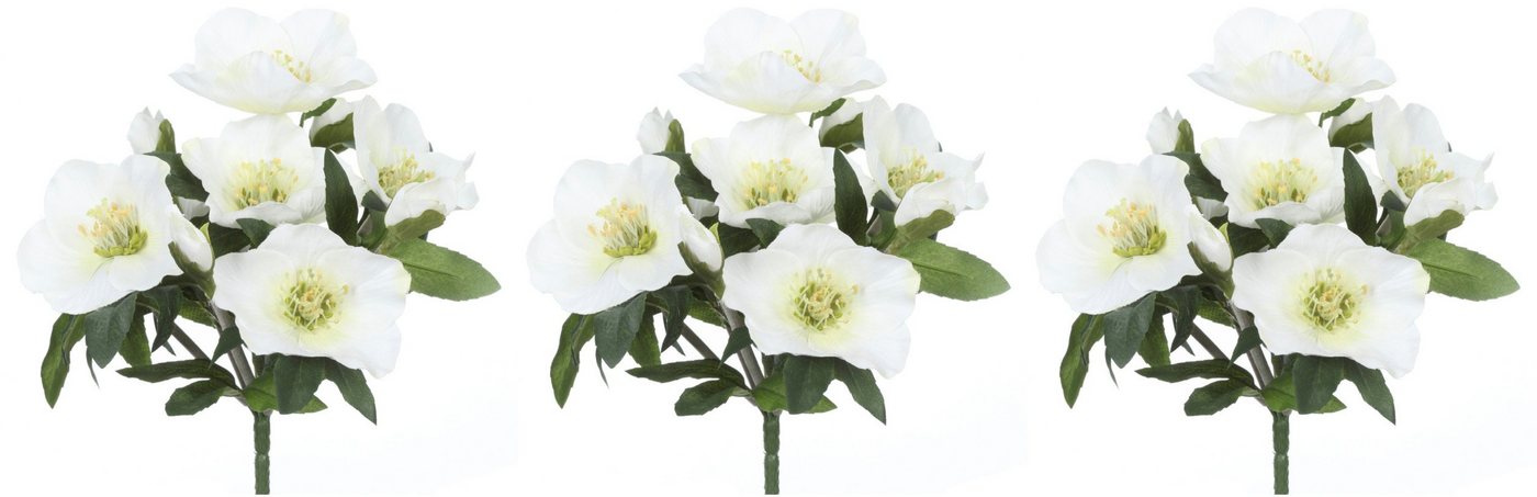 Winterliche Kunstpflanze Weihnachtsdeko Christrose, Creativ green, Höhe 25 cm, 3 Büsche mit je 7 Blüten und Knospen