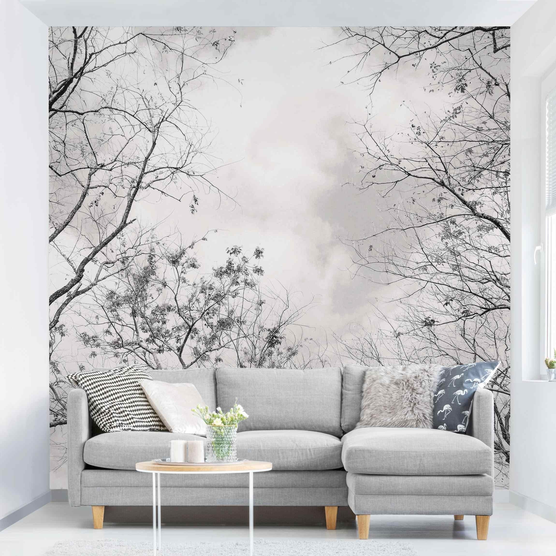Bilderdepot24 Fototapete Wald Baumkronen Himmel Warmgrau Natur Landschaft W günstig online kaufen