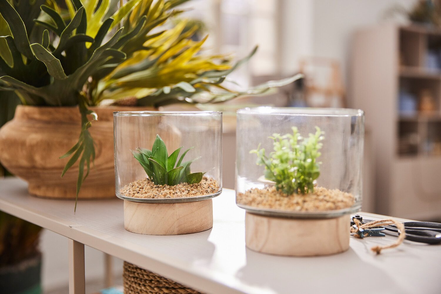 Kunstpflanze Sukkulenten im Glasgefäß, Creativ green, Höhe 12,5 cm, mit 2 verschiedenen Sukkulenten – Bild 4 von 4