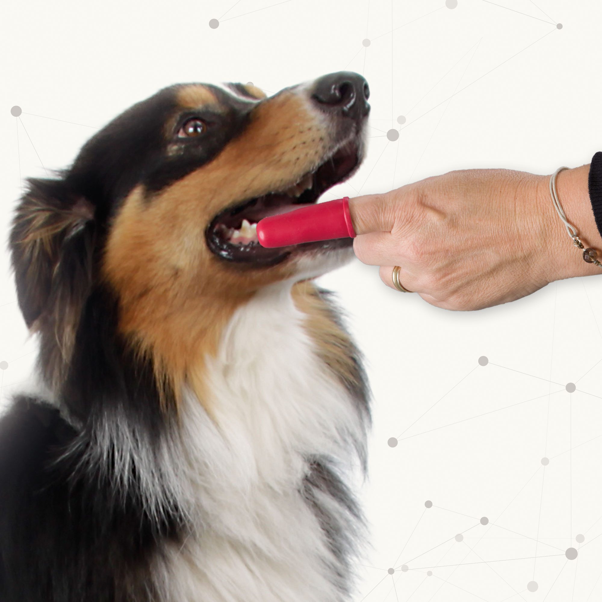 beaphar Tier-Fingerzahnbürste Dog-A-Dent Fingerzahnbürste für Hunde - 2 Stück