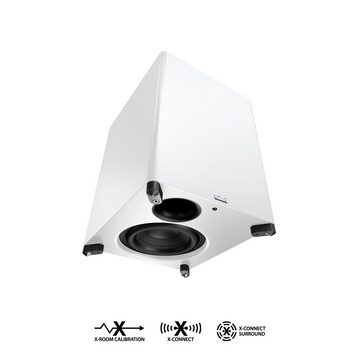 Nubert nuSub XW-700 Subwoofer (250 W, 26 Hz)