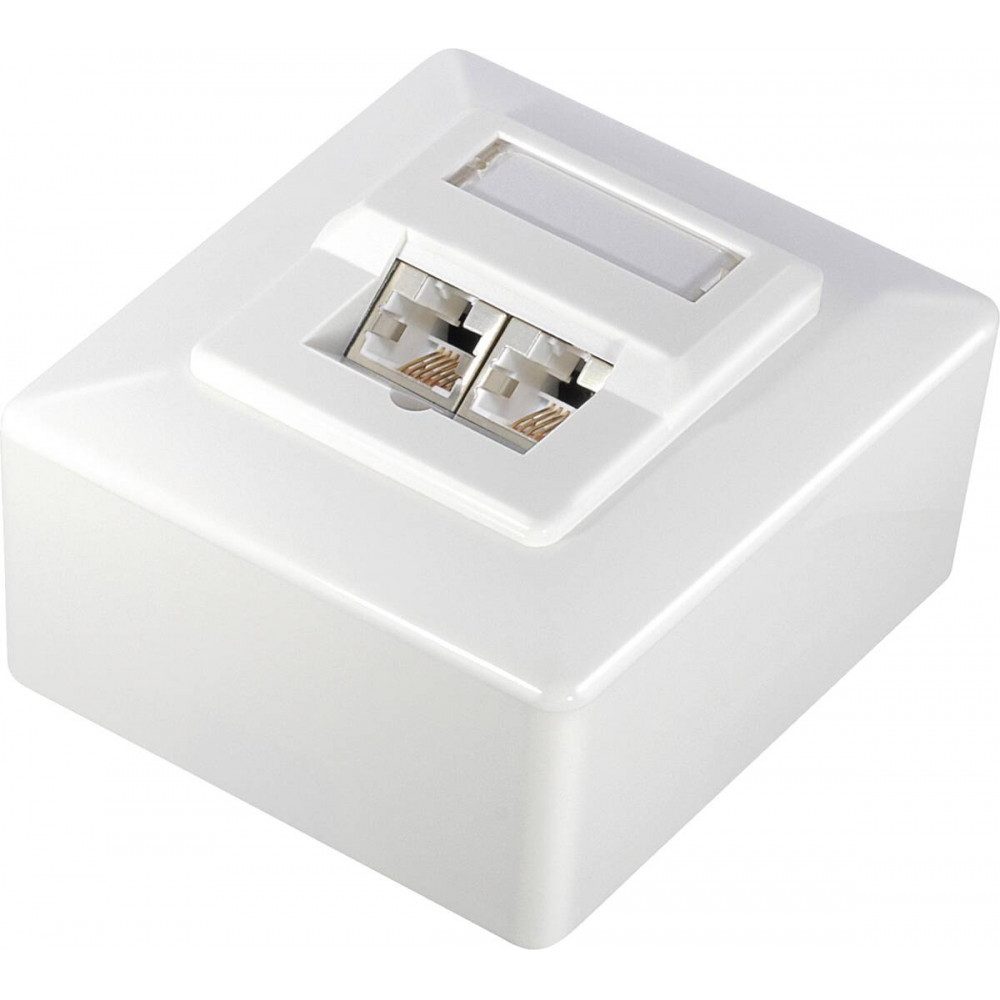 Transmedia Transmedia TD 17 L CAT 6 Anschlussdose. Netzwerk-Patch-Panel (Aufputzmontage, Aufputzmontage)