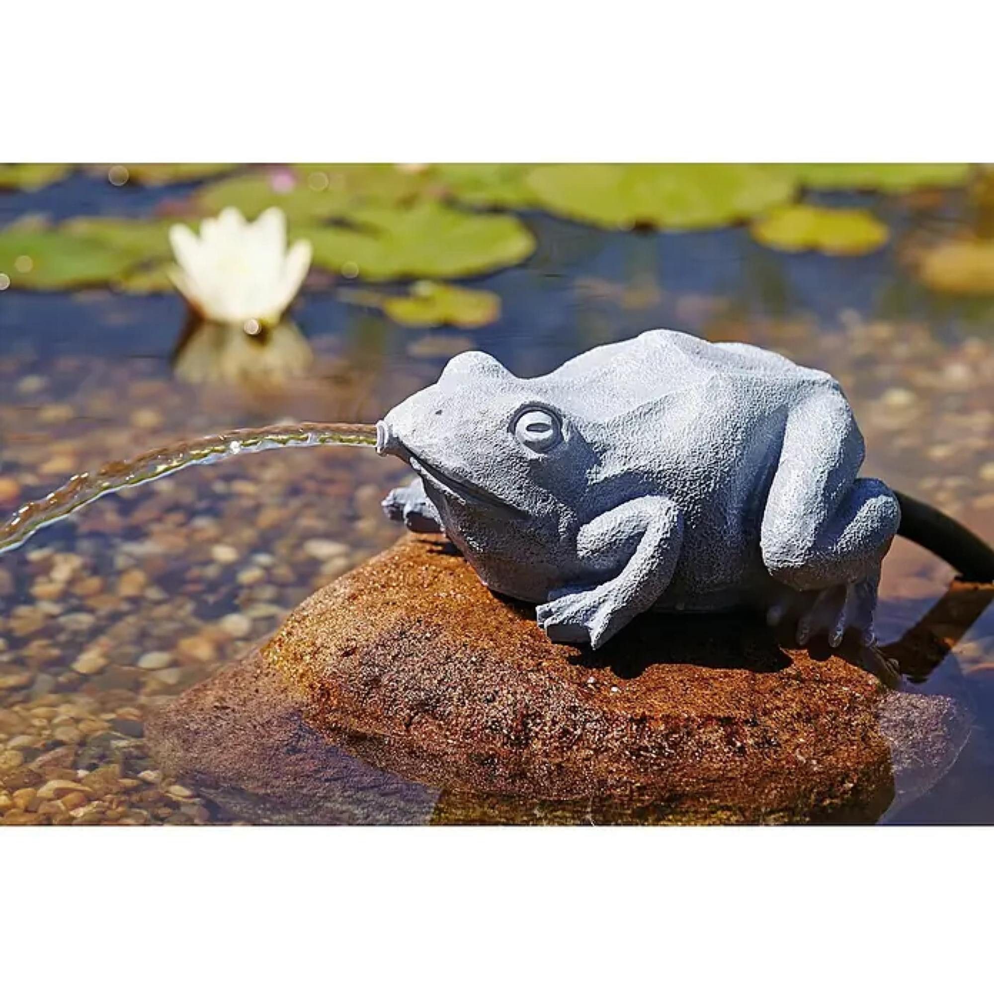 OASE Wasserspeier Oase Wasserspeier Frosch (1 St)
