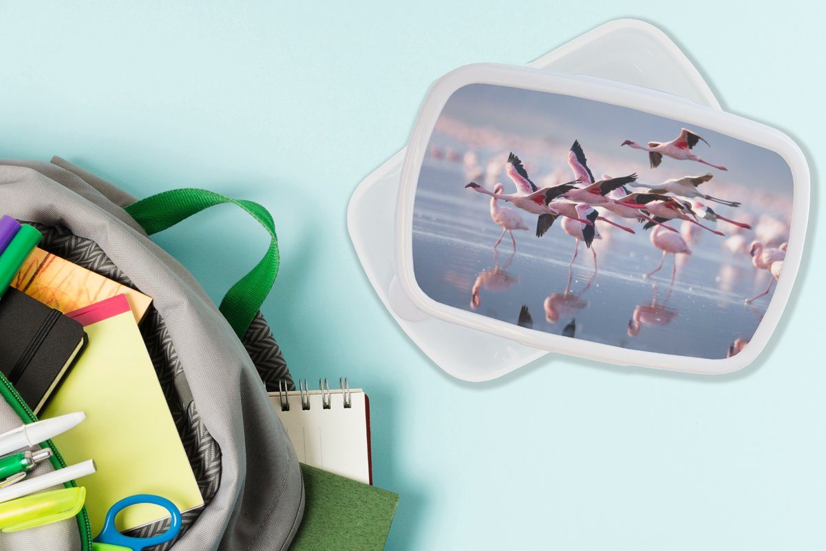 MuchoWow Lunchbox Flamingo - Vogel Kunststoff, für (2-tlg), Wasser Rosa, und Erwachsene, Brotdose, für - Mädchen - weiß Brotbox und Kinder Jungs