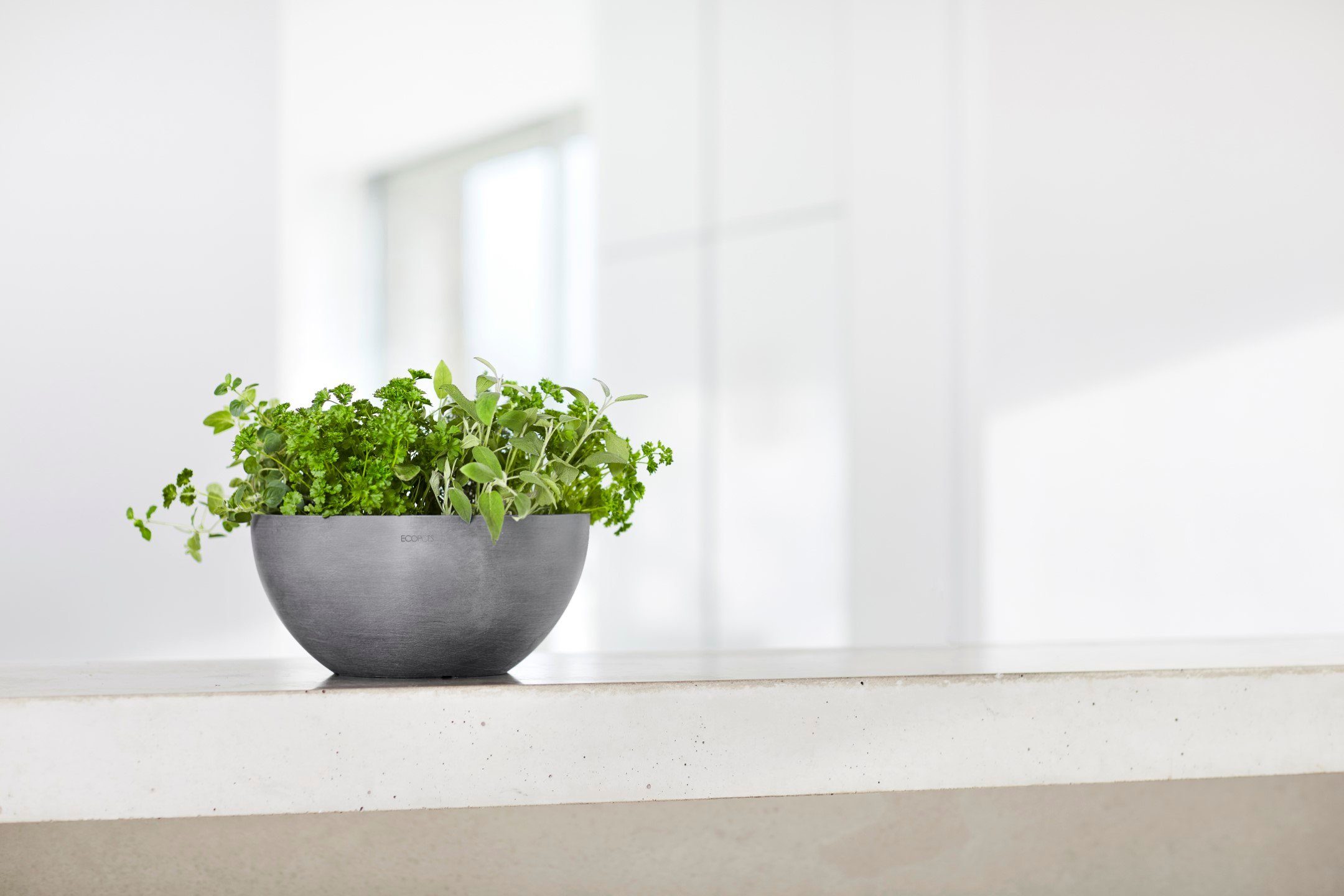 ECOPOTS Blumentopf BRUSSELS Grey, BxTxH: 25x25x12 günstig online kaufen