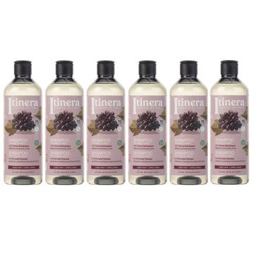 Sarcia.eu Haarshampoo ITINERA Shampoo für lockiges Haar, natürliche Inhaltsstoffe 370ml x6