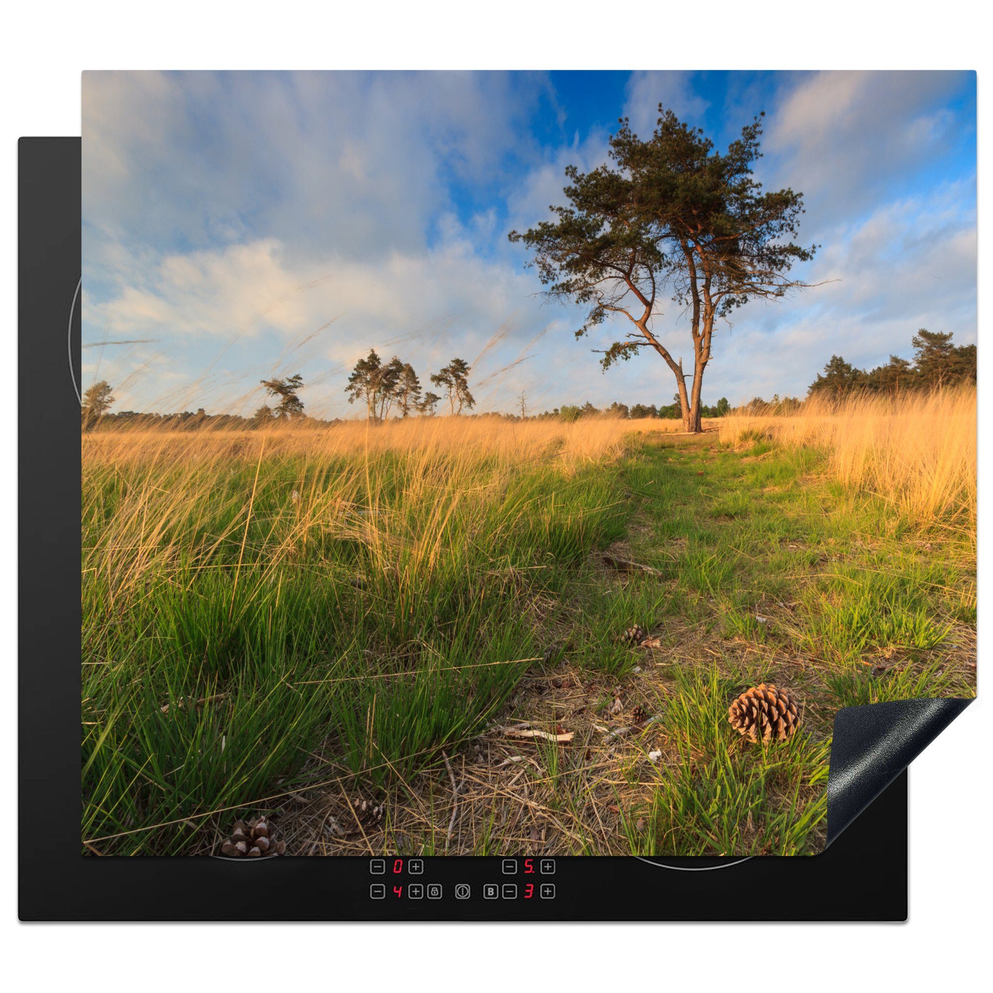 Herdblende-/Abdeckplatte MuchoWow Vinyl, tlg), Drunense Arbeitsfläche und cm, Nationalpark nutzbar, Dünen, Mobile 60x52 Loonse Der Ceranfeldabdeckung (1