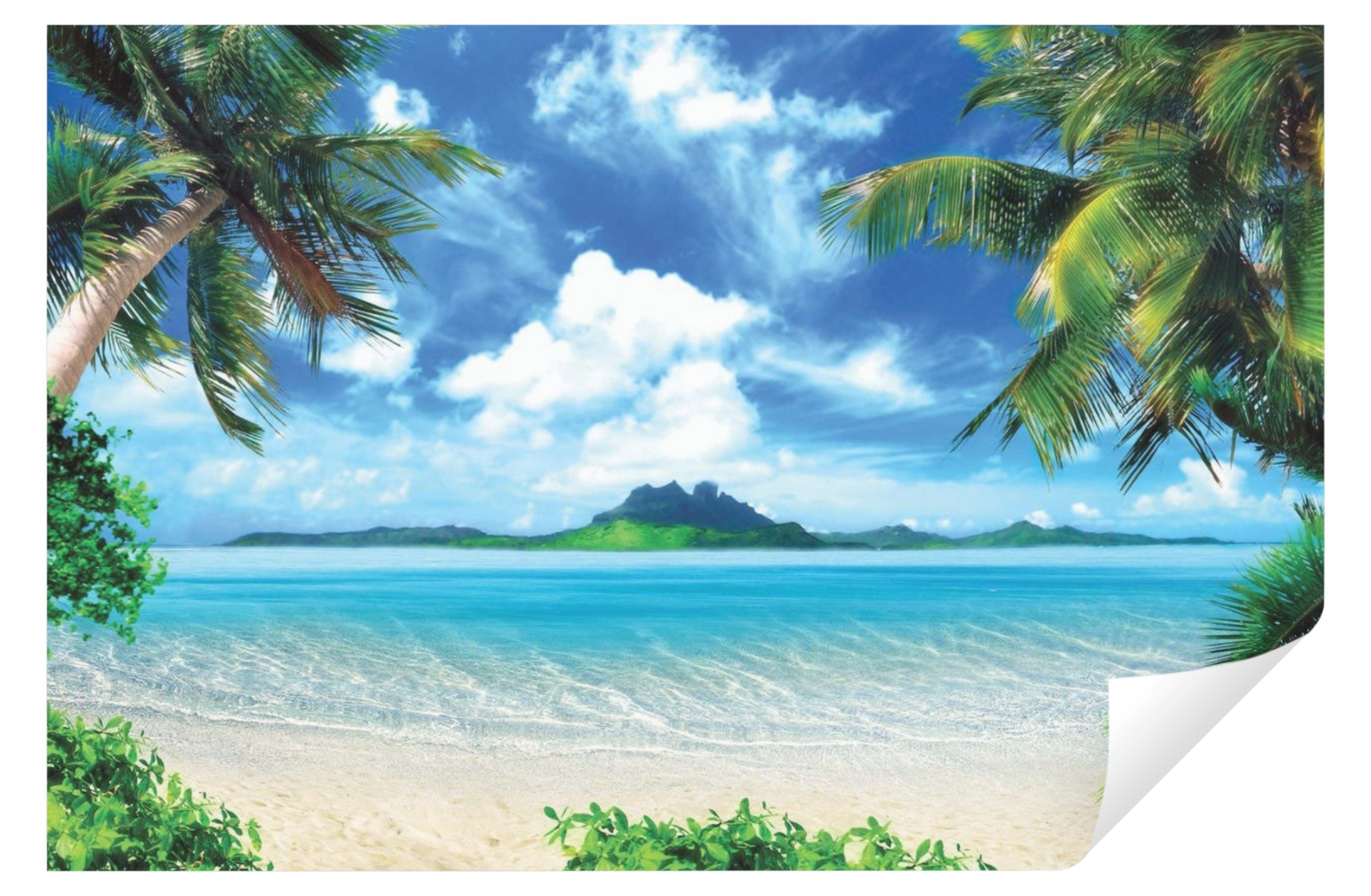 Wallarena Fototapete Strand Palm Tropen Vlies günstig online kaufen