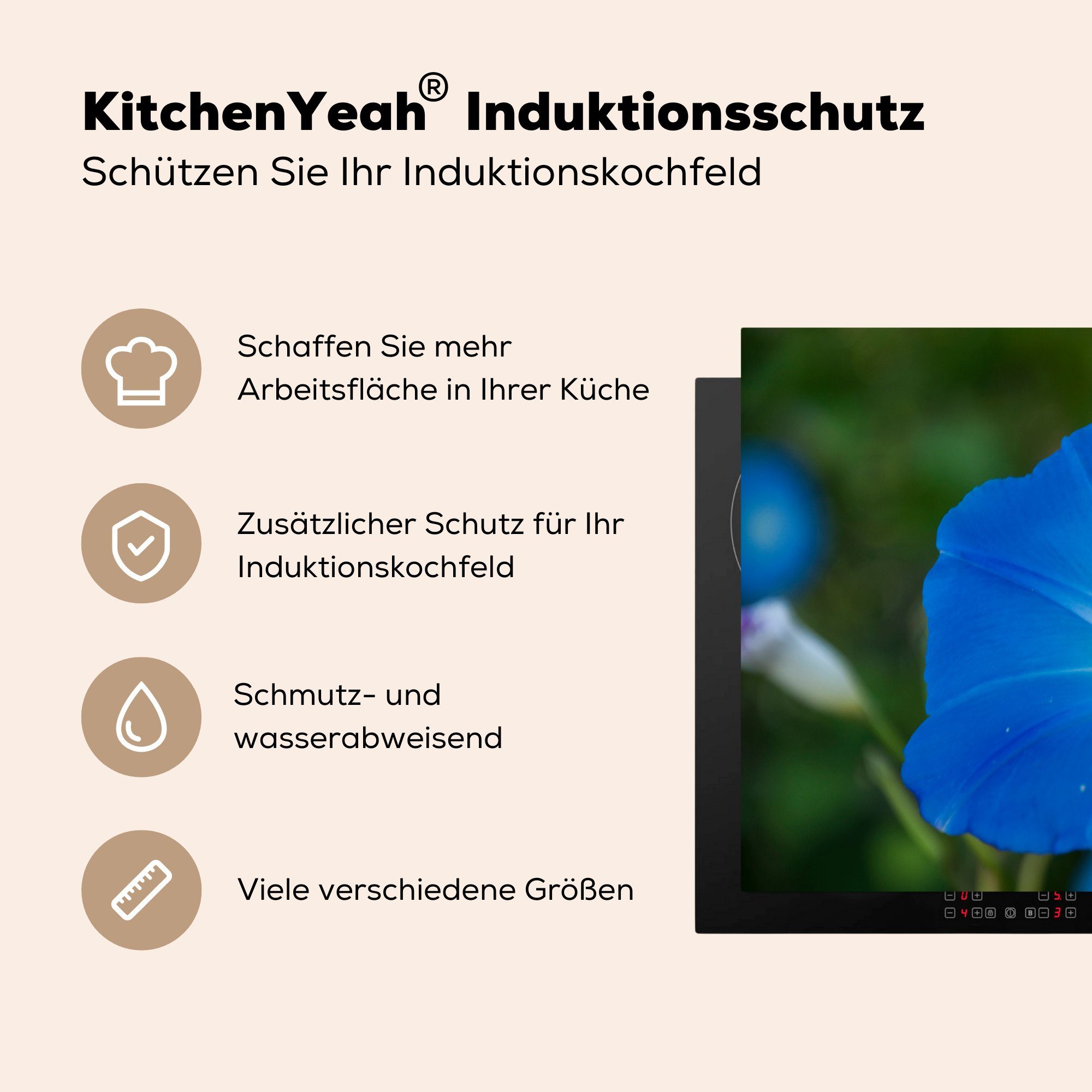 MuchoWow Herdblende-/Abdeckplatte Blaue Orchidee vor Vinyl, für Ceranfeldabdeckung Schutz (1 Hintergrund, Induktionskochfeld die küche, cm, tlg), verblasstem 81x52